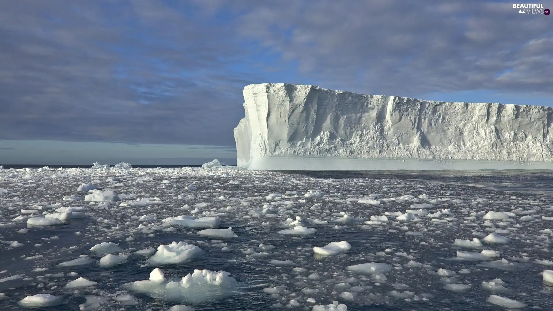 Kry, Iceberg, sea