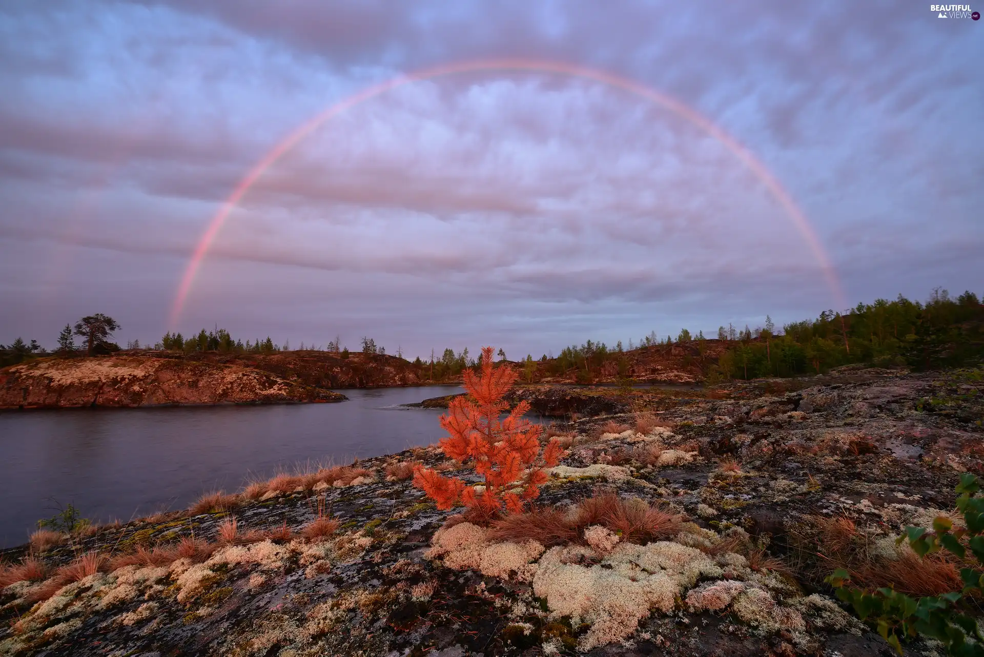 Great Rainbows, Russia, viewes, grass, trees, Lake Ladoga