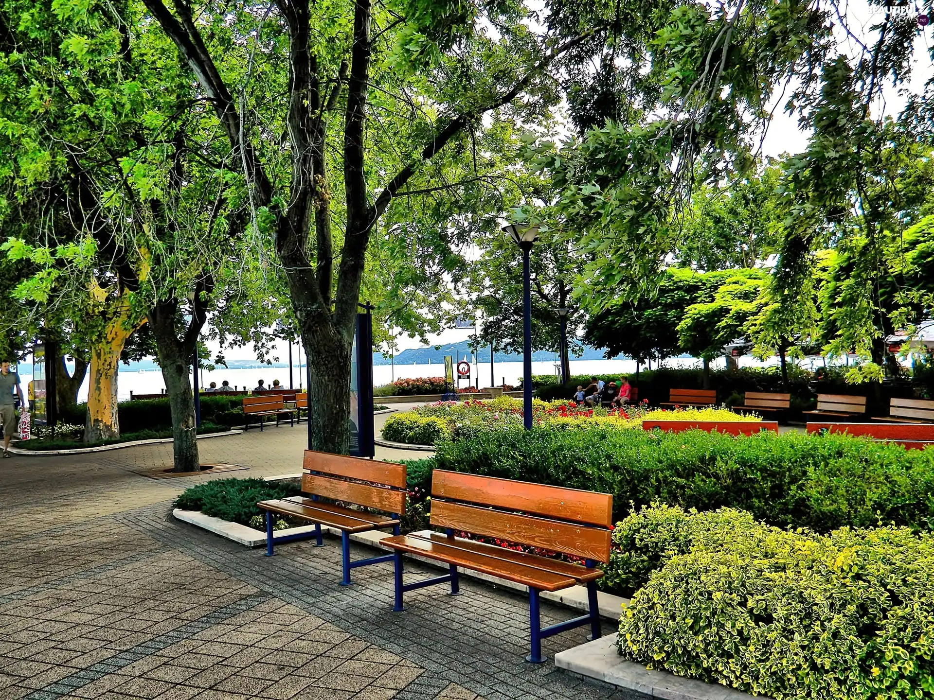 lake, Park, bench
