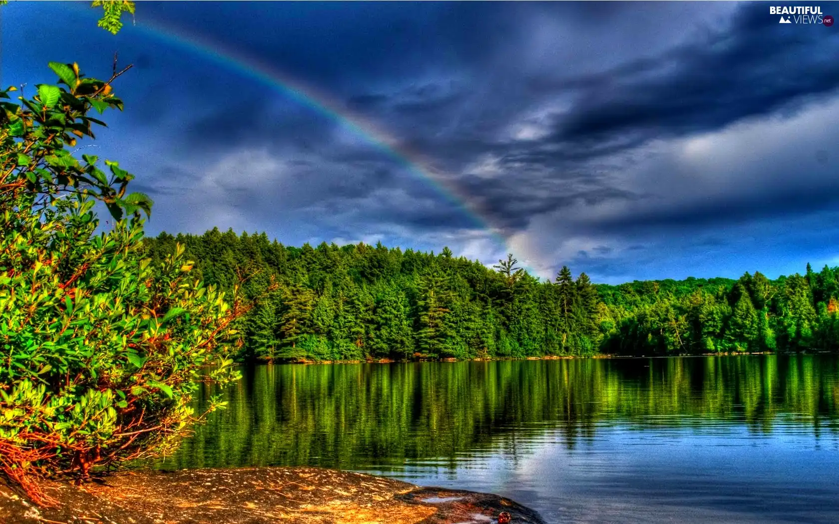 forest, Great Rainbows, lake
