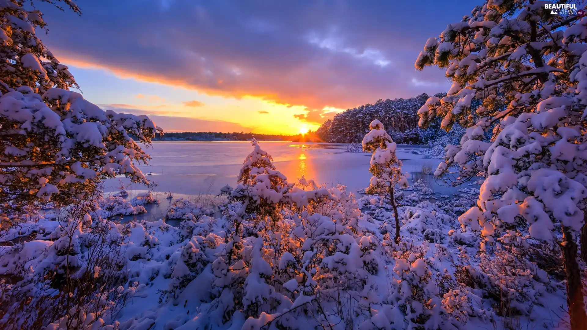 lake, winter, forest, trees, Sunrise, clouds, Snowy, branch pics, viewes