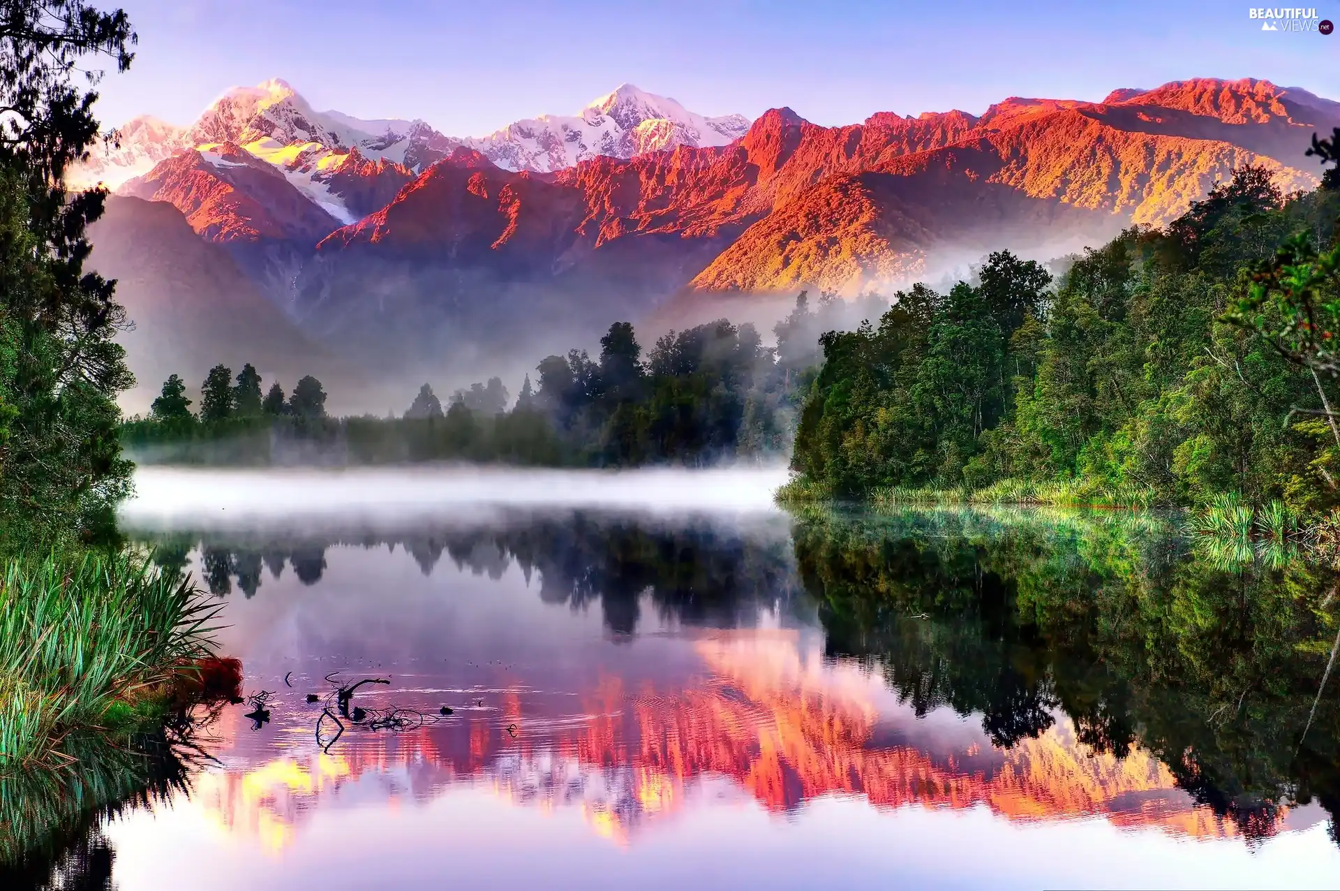 lake, Mountains, reflection, New Zeland, Fog, forest