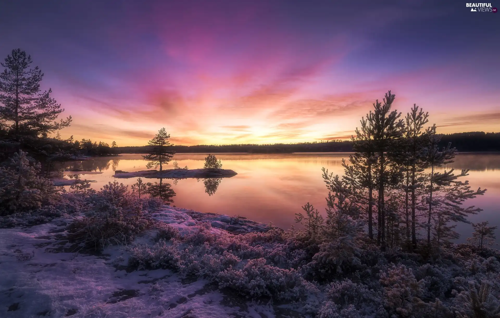 Great Sunsets, Ringerike, trees, winter, Norway, lake, viewes