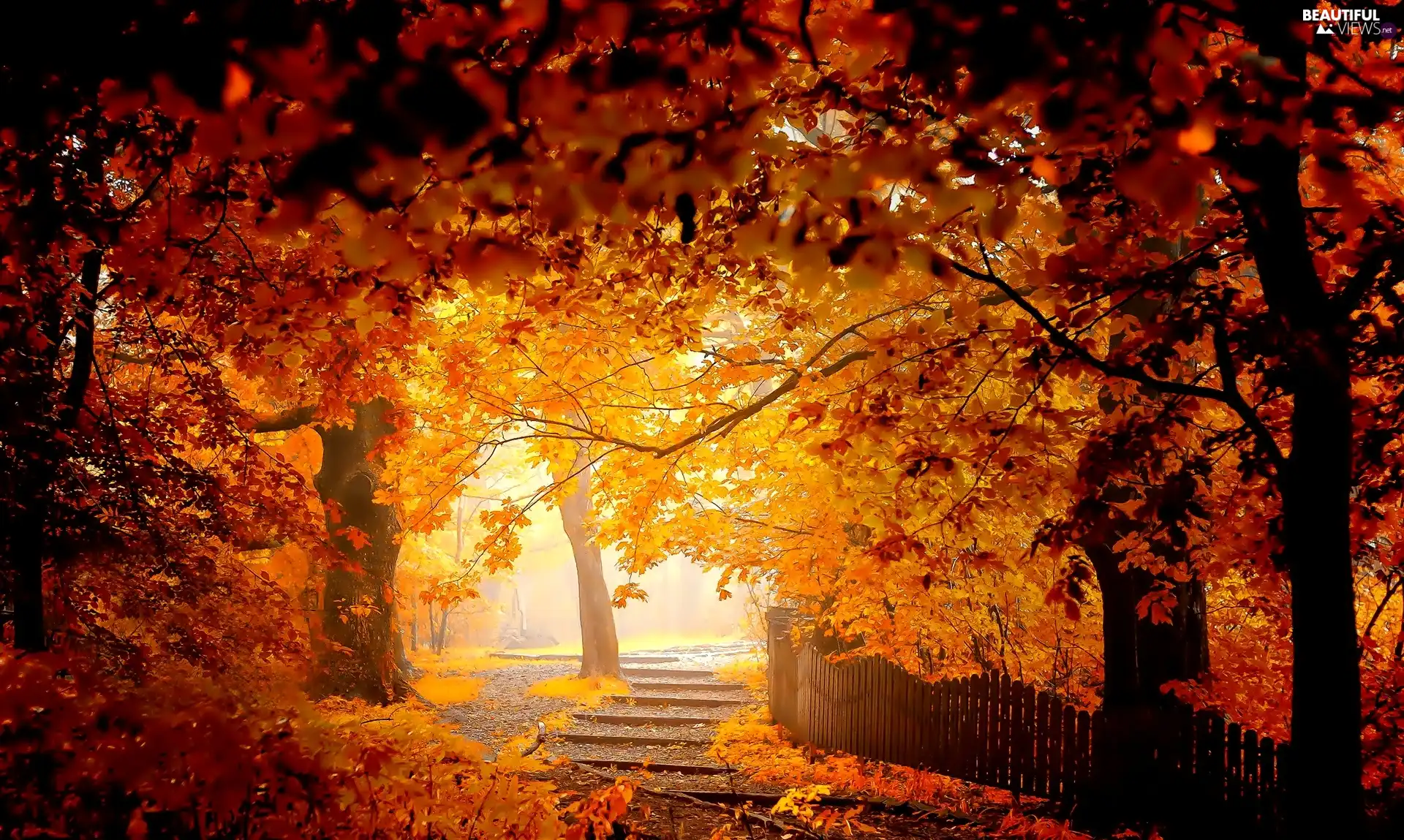 autumn, Hurdle, Leaf, Park