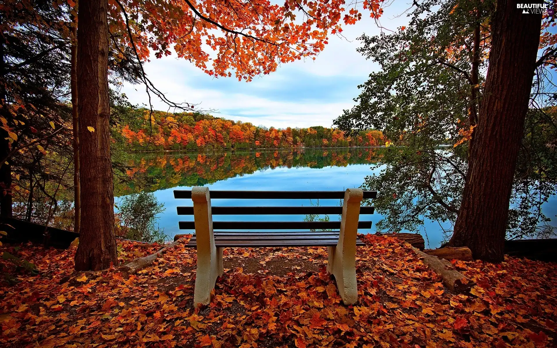 Leaf, autumn, woods, Bench, lake
