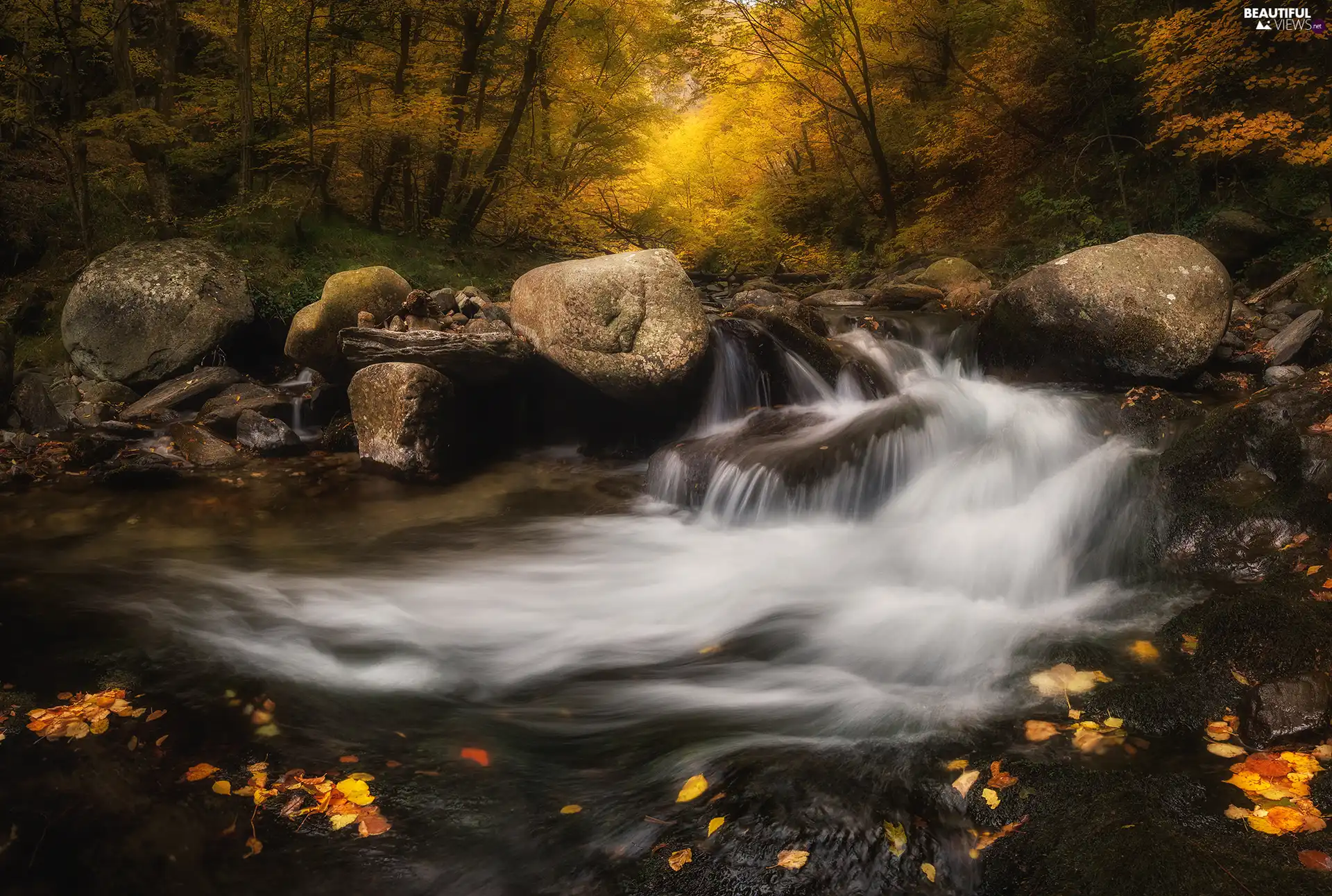 River, autumn, fallen, Leaf, Stones, forest