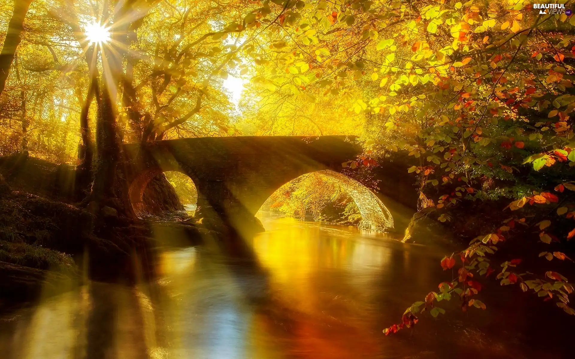 Przebijajce Ligh Autumn Sun Luminosity Bridge River Flash