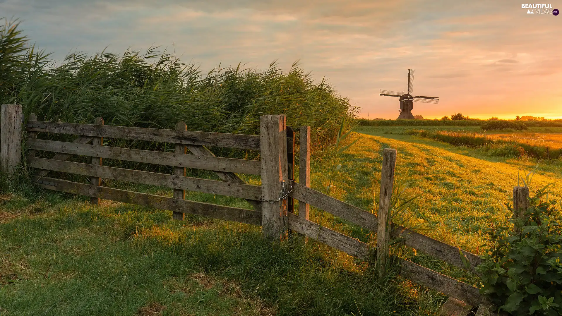 Plants, fence, Windmill, Meadow, Great Sunsets