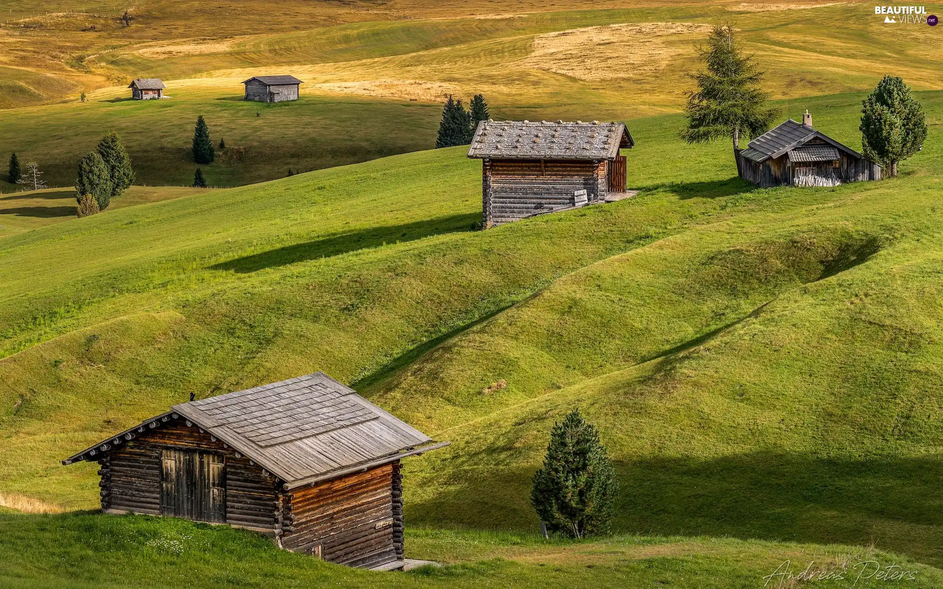 Val Gardena Valley, Seiser Alm Meadow, The Hills, medows, viewes, Italy, Houses, trees, wood