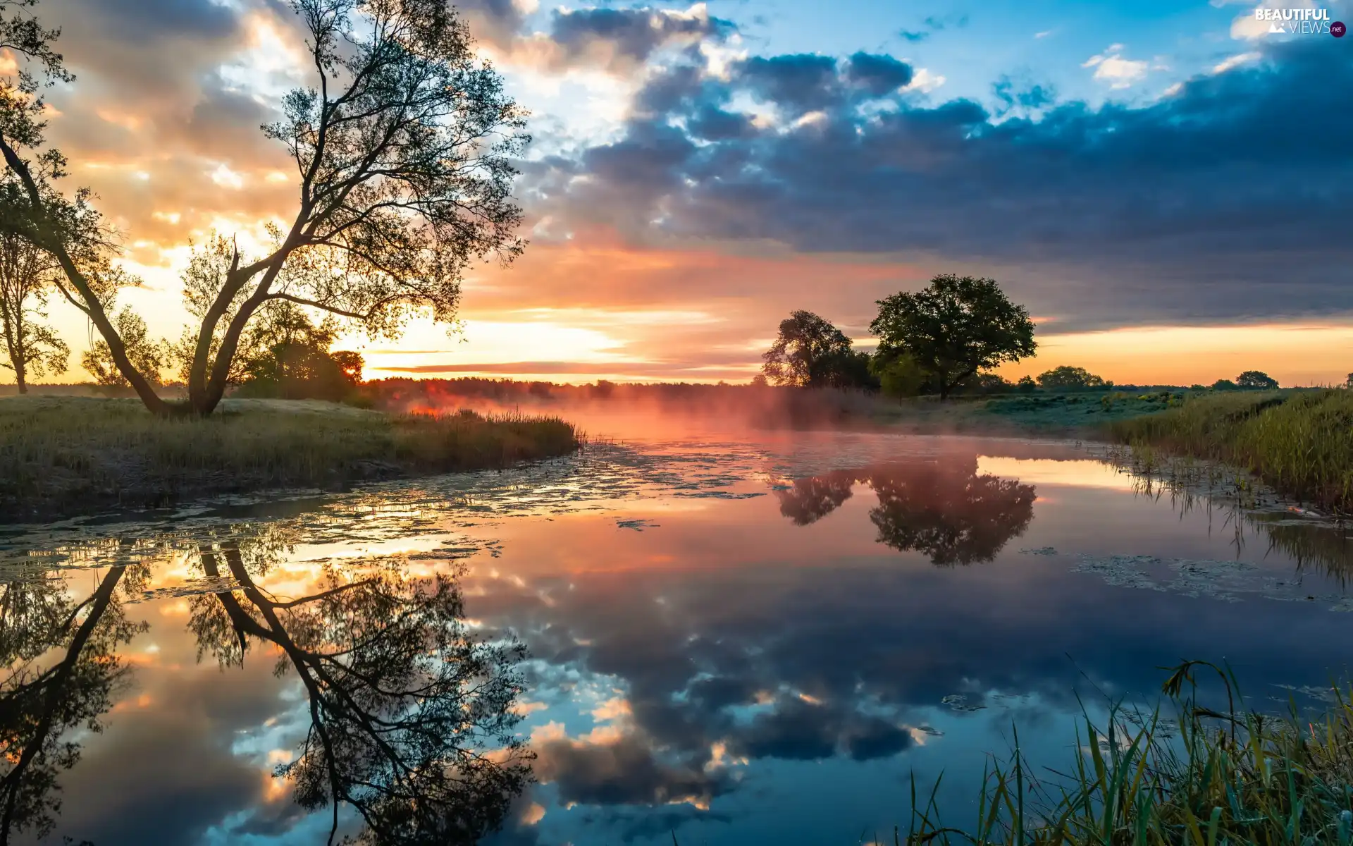 viewes, grass, reflection, Sunrise, clouds, trees, River, morning