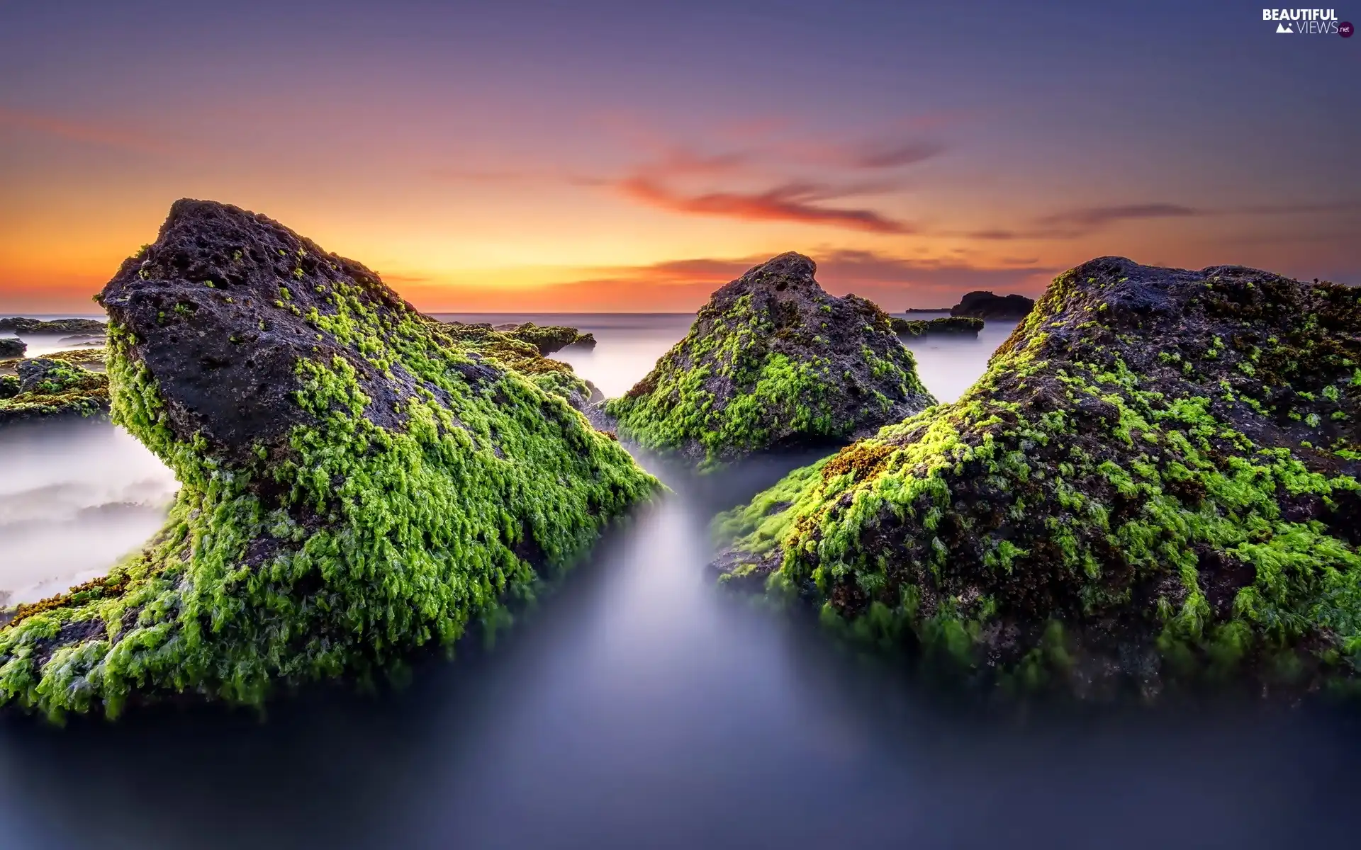 sea, Great Sunsets, Moss, rocks