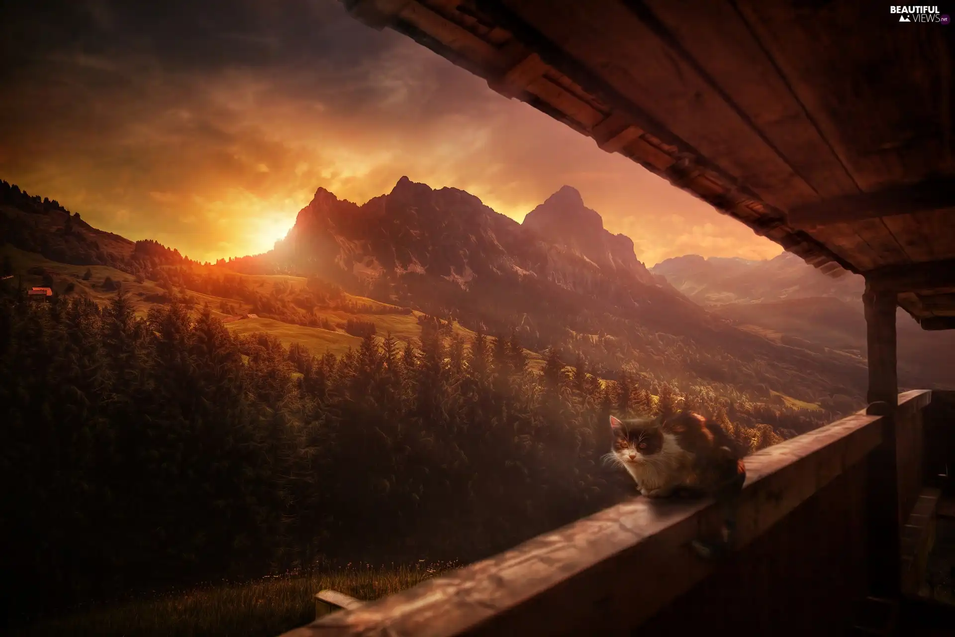 Mountain Grosser Mythen, Switzerland, railing, cat, Great Sunsets, Alps