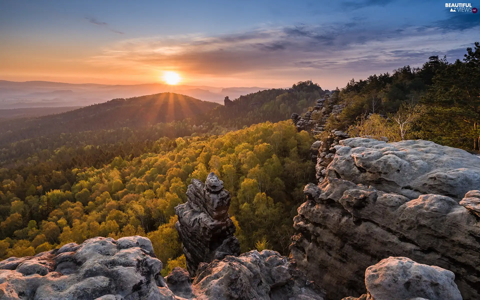 rocks, trees, Great Sunsets, viewes, forest, Fog, Mountains
