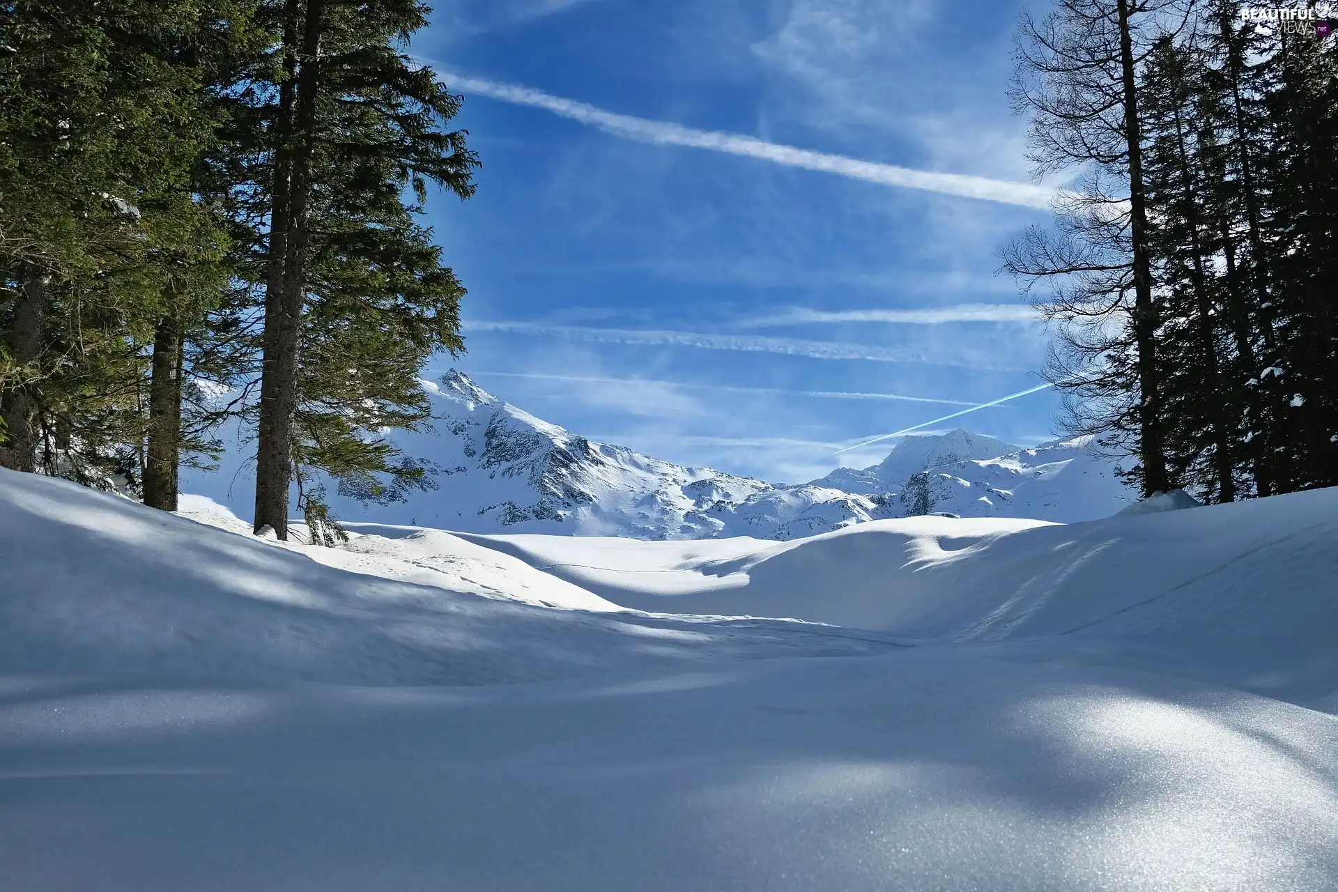 viewes, winter, drifts, Mountains, Spruces, trees