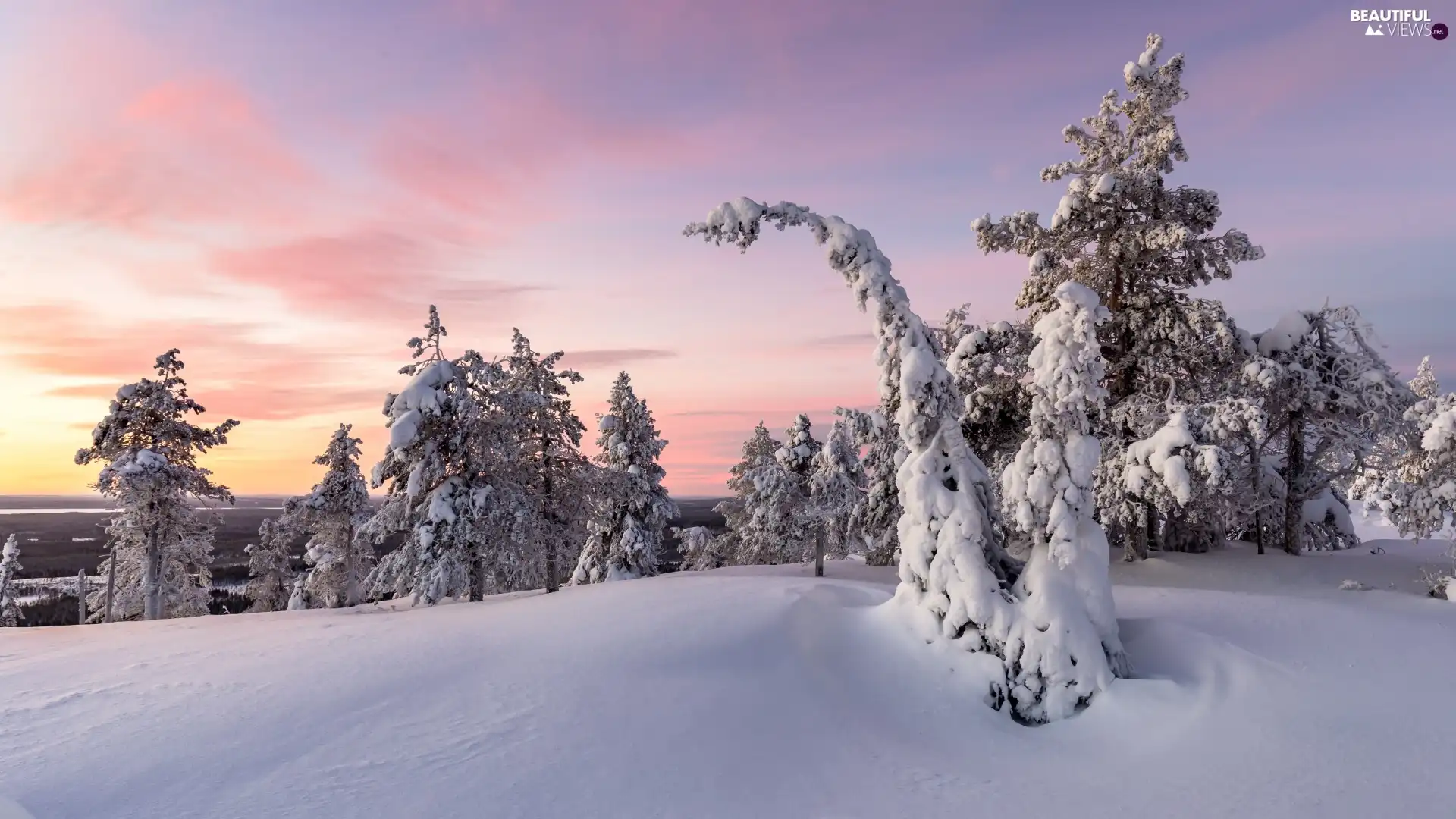 Hill, Lapland, Riisitunturi National Park, trees, Sunrise, Finland, Municipality of Posio, viewes, Snowy, winter