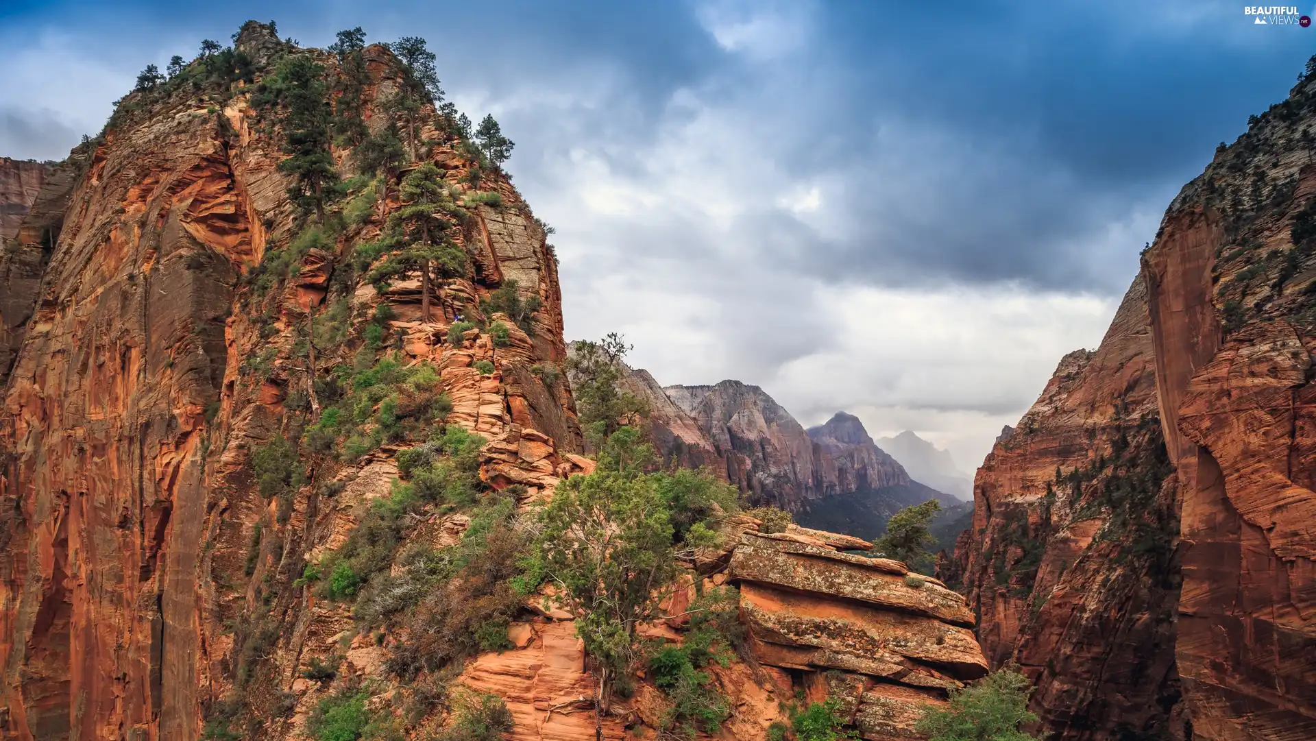 canyon, Rock Formation, Utah State, Angels Landing, Zion National Park, rocks, The United States