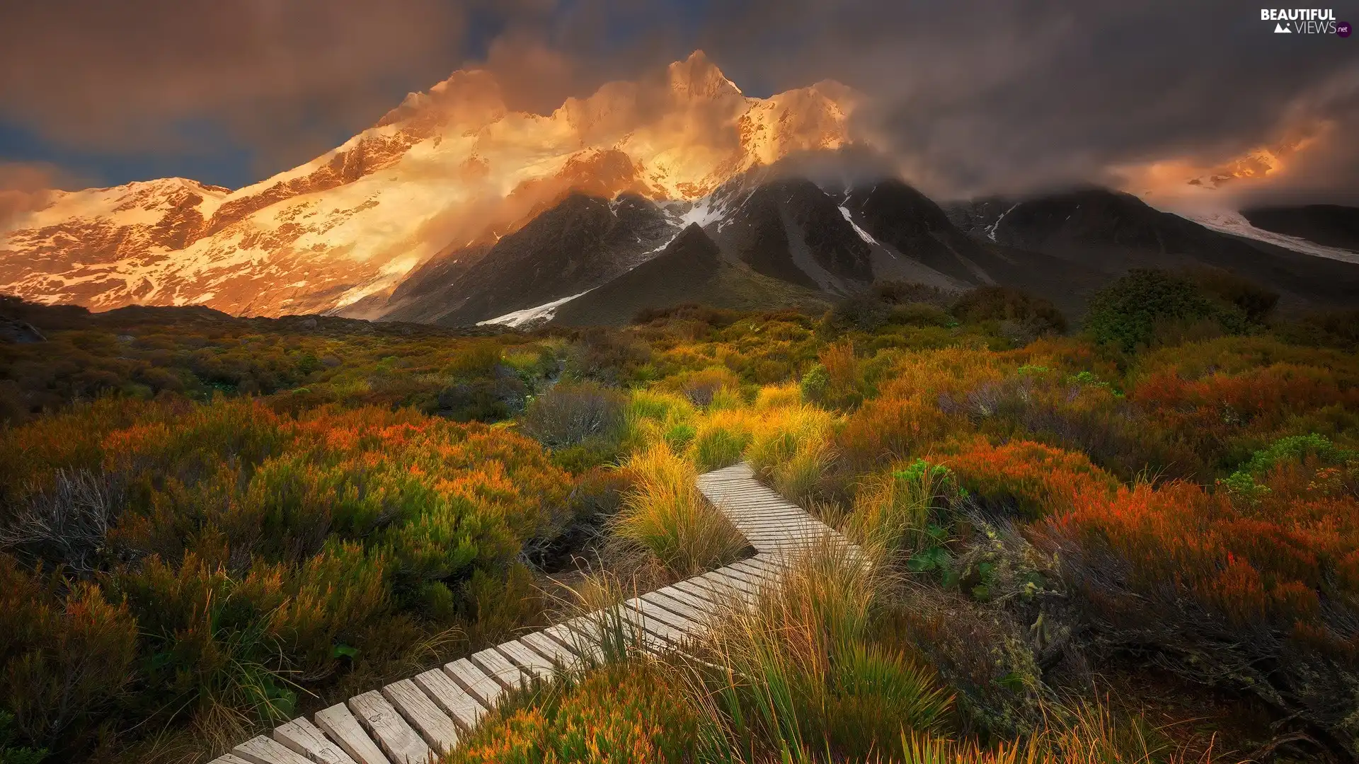 Mountains, Mount Cook National Park, VEGETATION, Hooker Valley, New Zeland, Mount Cook, Path
