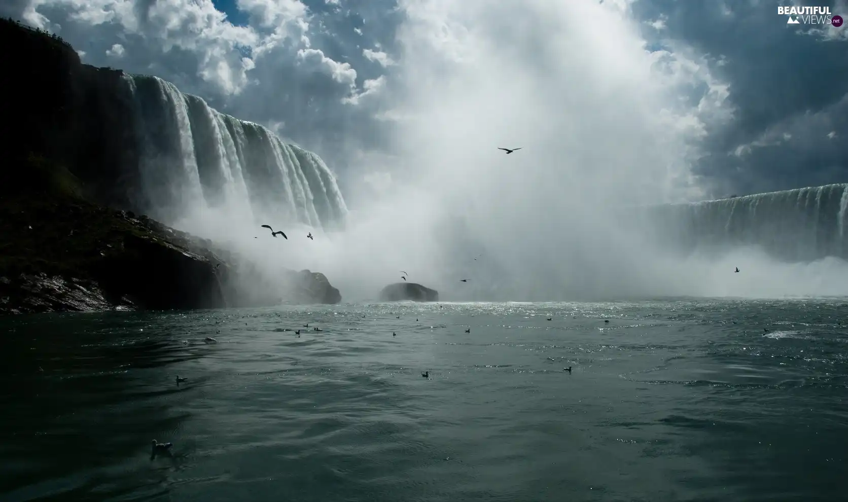 birds, waterfall, Niagara Falls