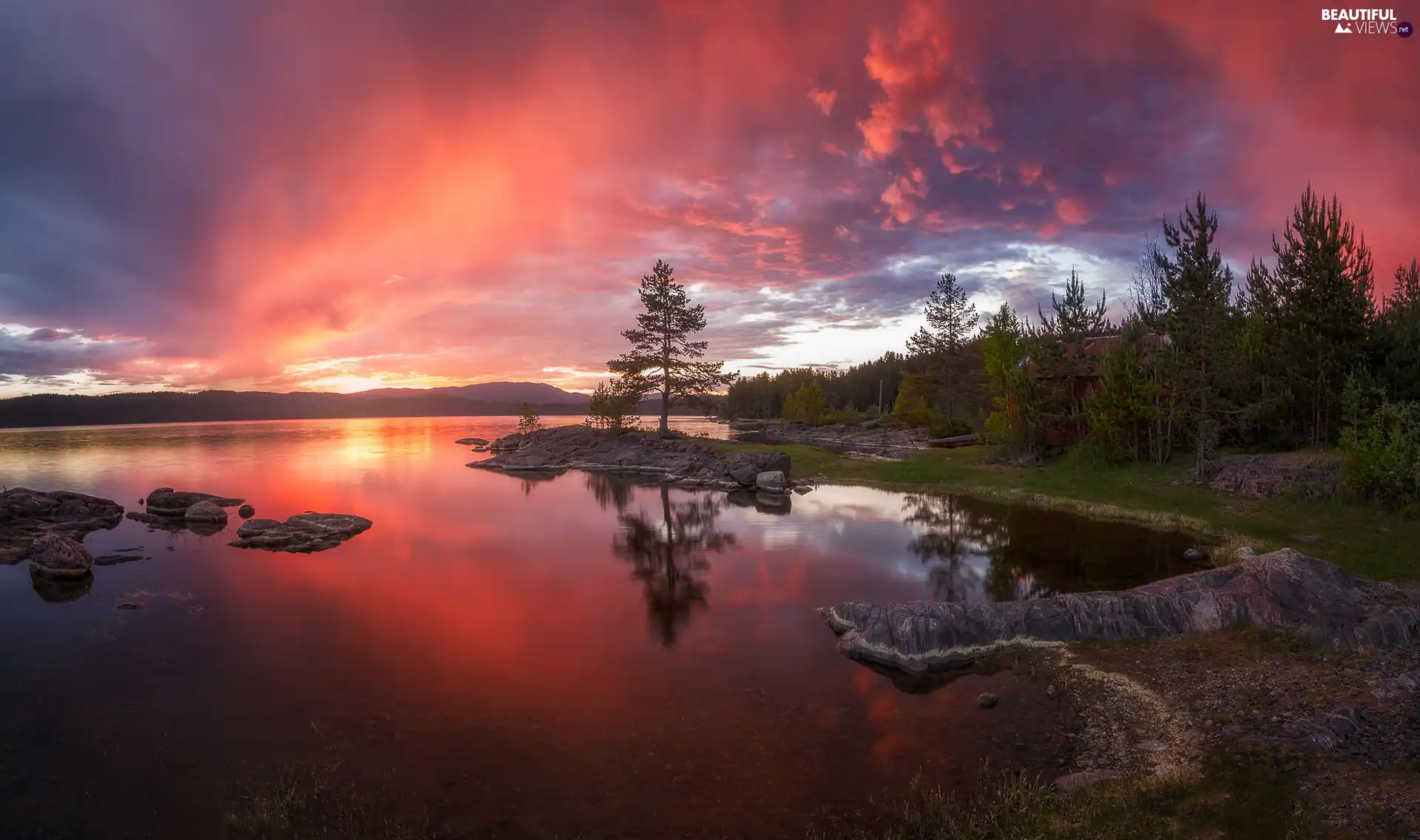 Ringerike Municipality, Great Sunsets, trees, viewes, lake, Norway