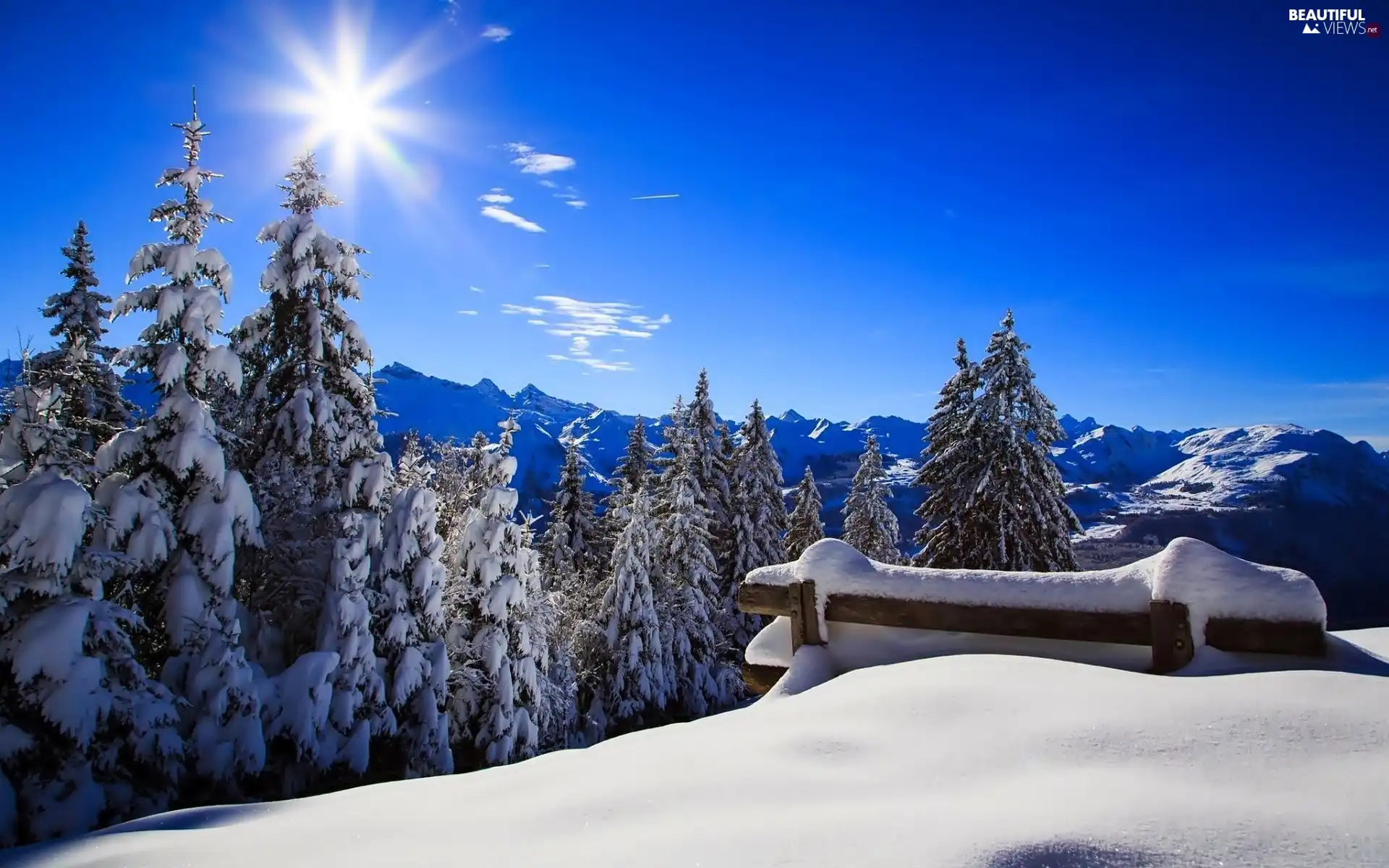 winter, forest, rays of the Sun, Mountains