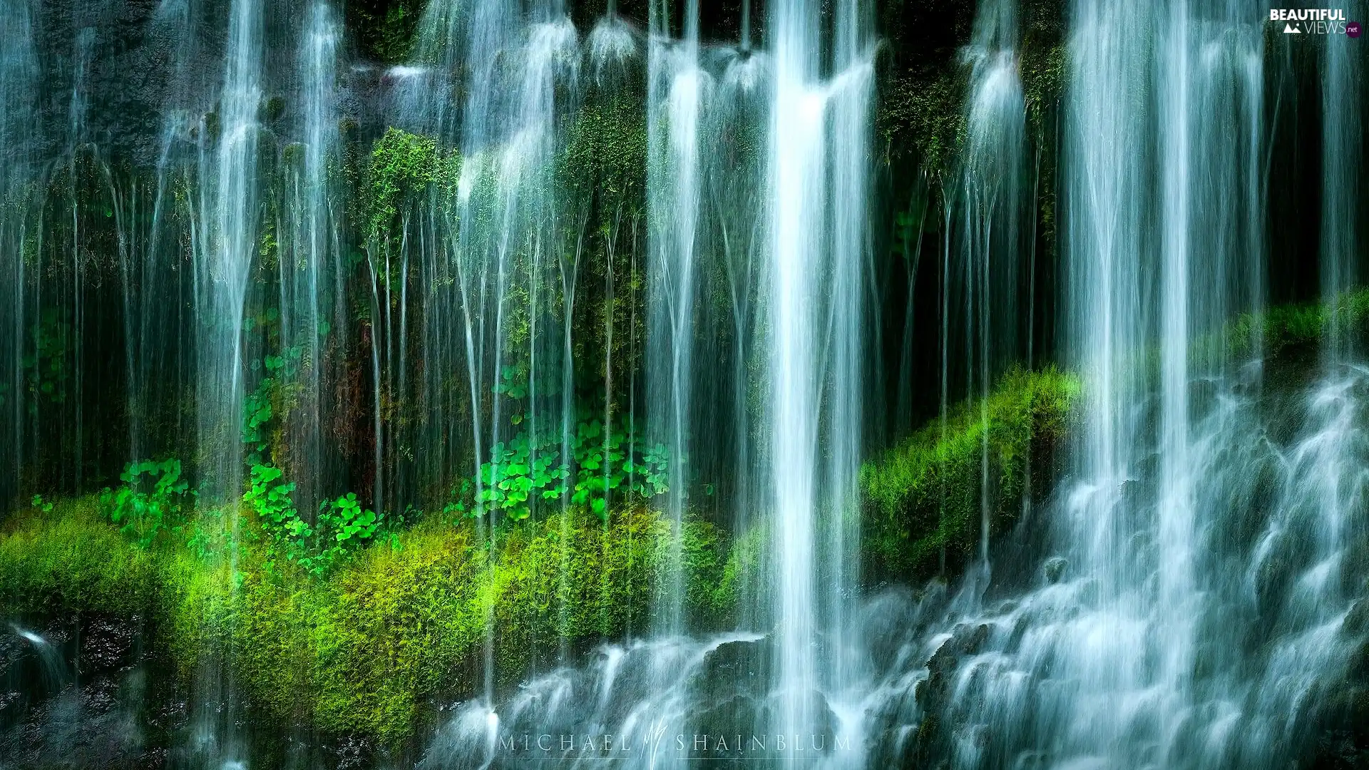 Plants, waterfall, green ones