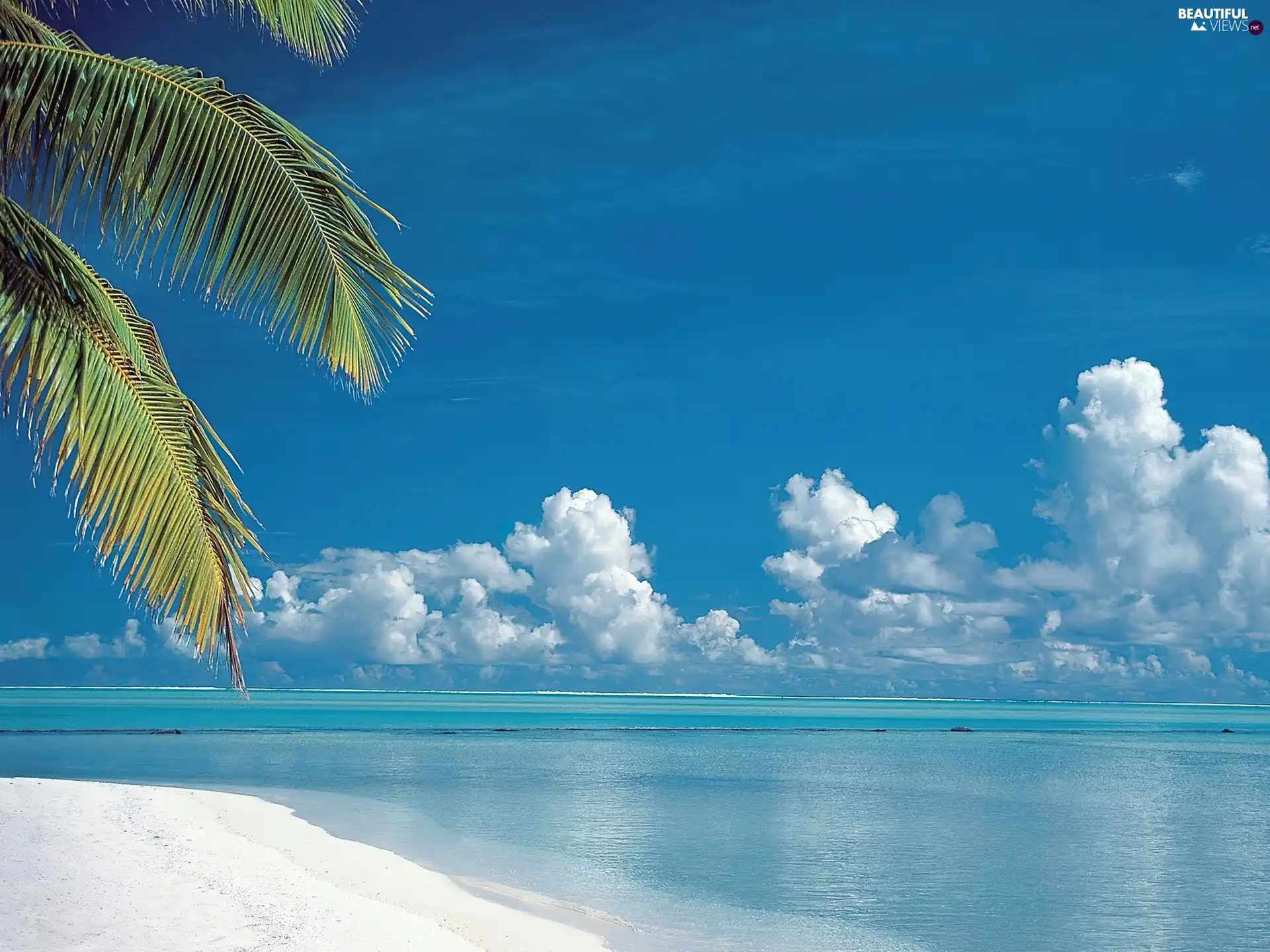 Palm, clouds, sea, Leaf, Beaches