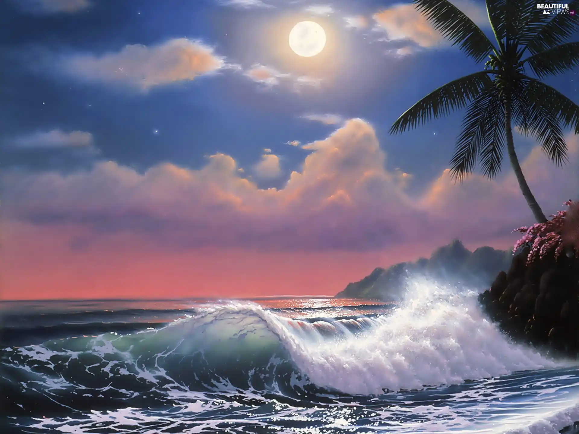 Palm, Tides, moon