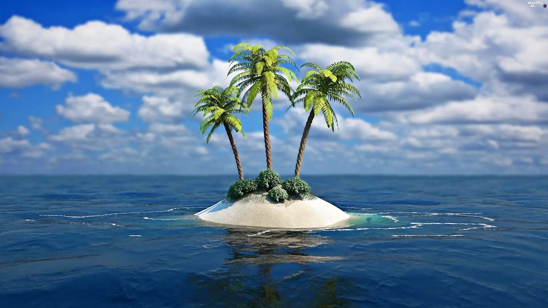 Palms, sea, Island