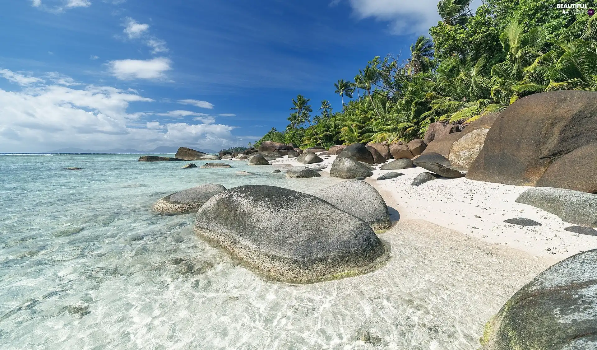 sea, Silhouette Island, Stones, Tropical, Seychelles, coast, Palms