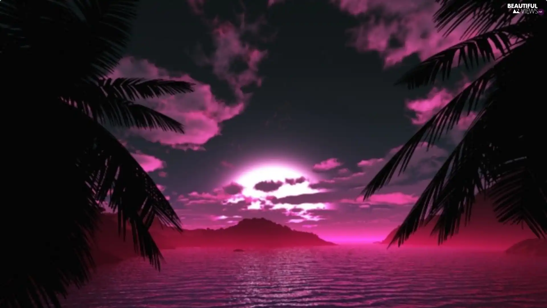 Palms, water, west, sun, Pink