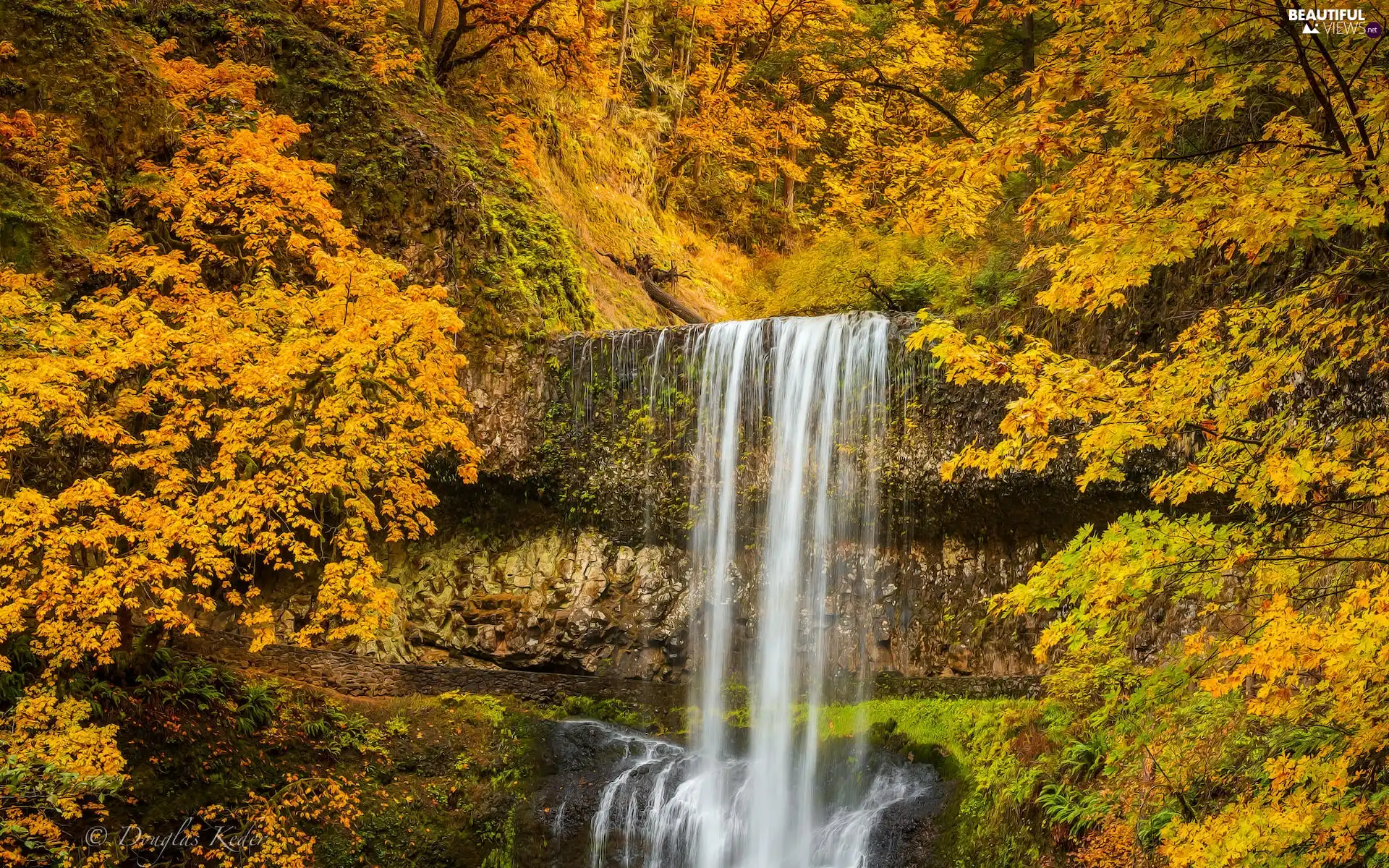 Silver Falls State Park, trees, waterfall, viewes, VEGETATION, Oregon, The United States, autumn