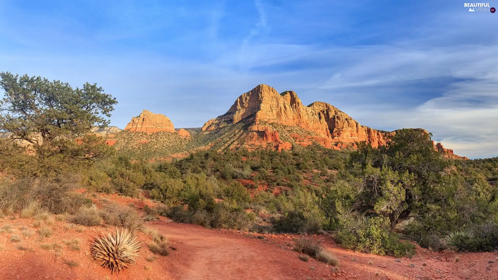 Red, State of Arizona, trees, Red Rock State Park, The United States, rocks, viewes