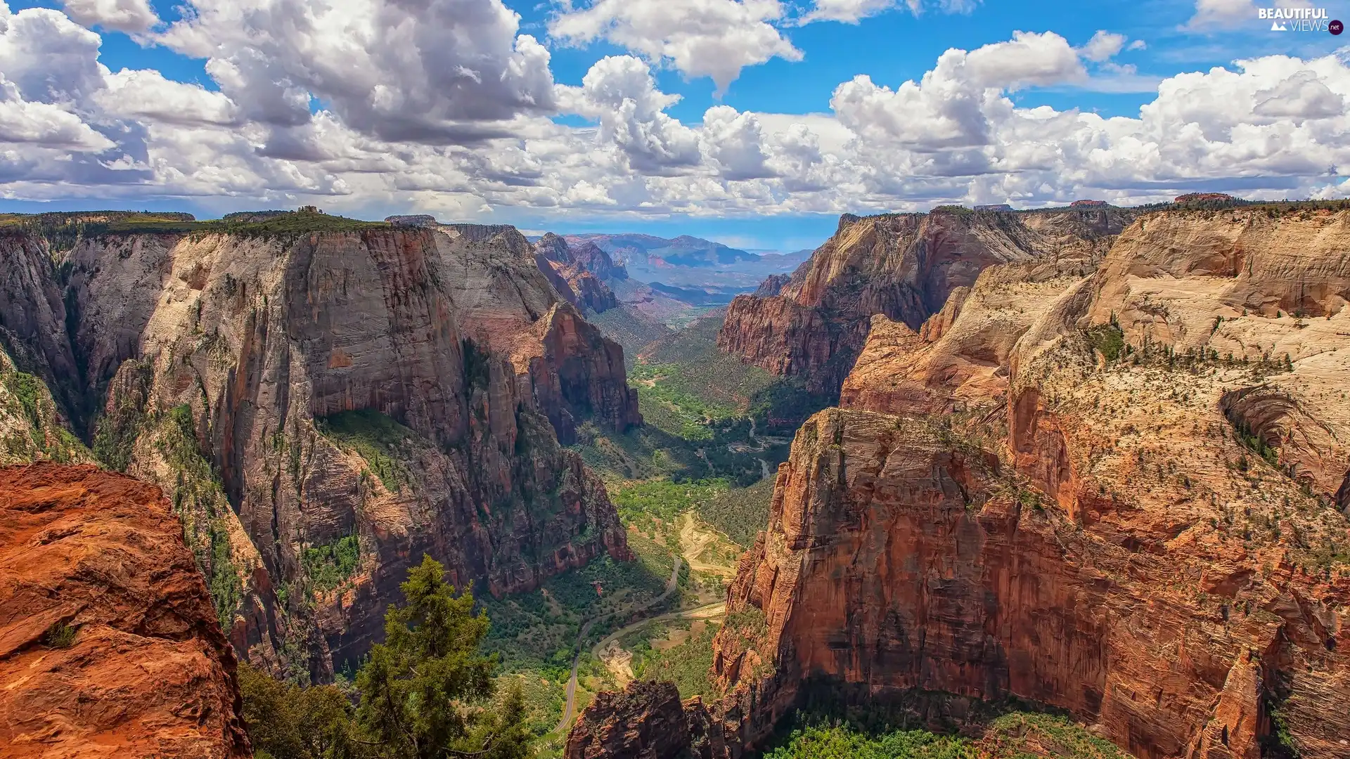 Zion Canyon, Plants, The United States, Zion National Park, Utah State, canyon, Mountains, canyon
