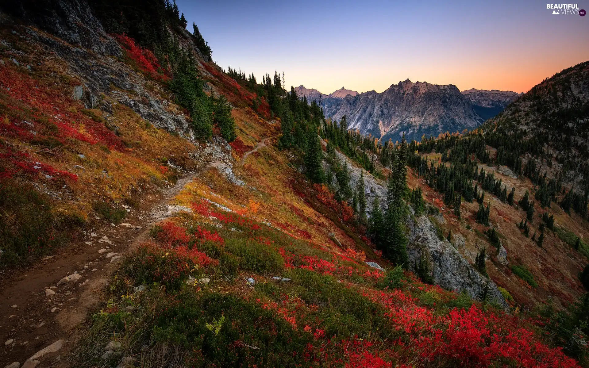 VEGETATION, Path, autumn, Coloured, Mountains