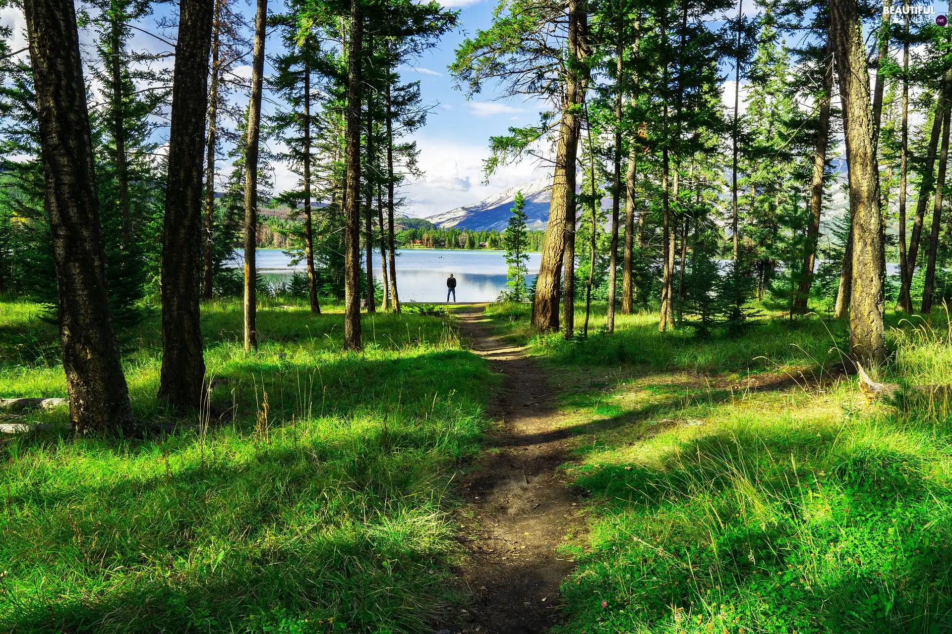 viewes, forest, Human, Path, lake, trees