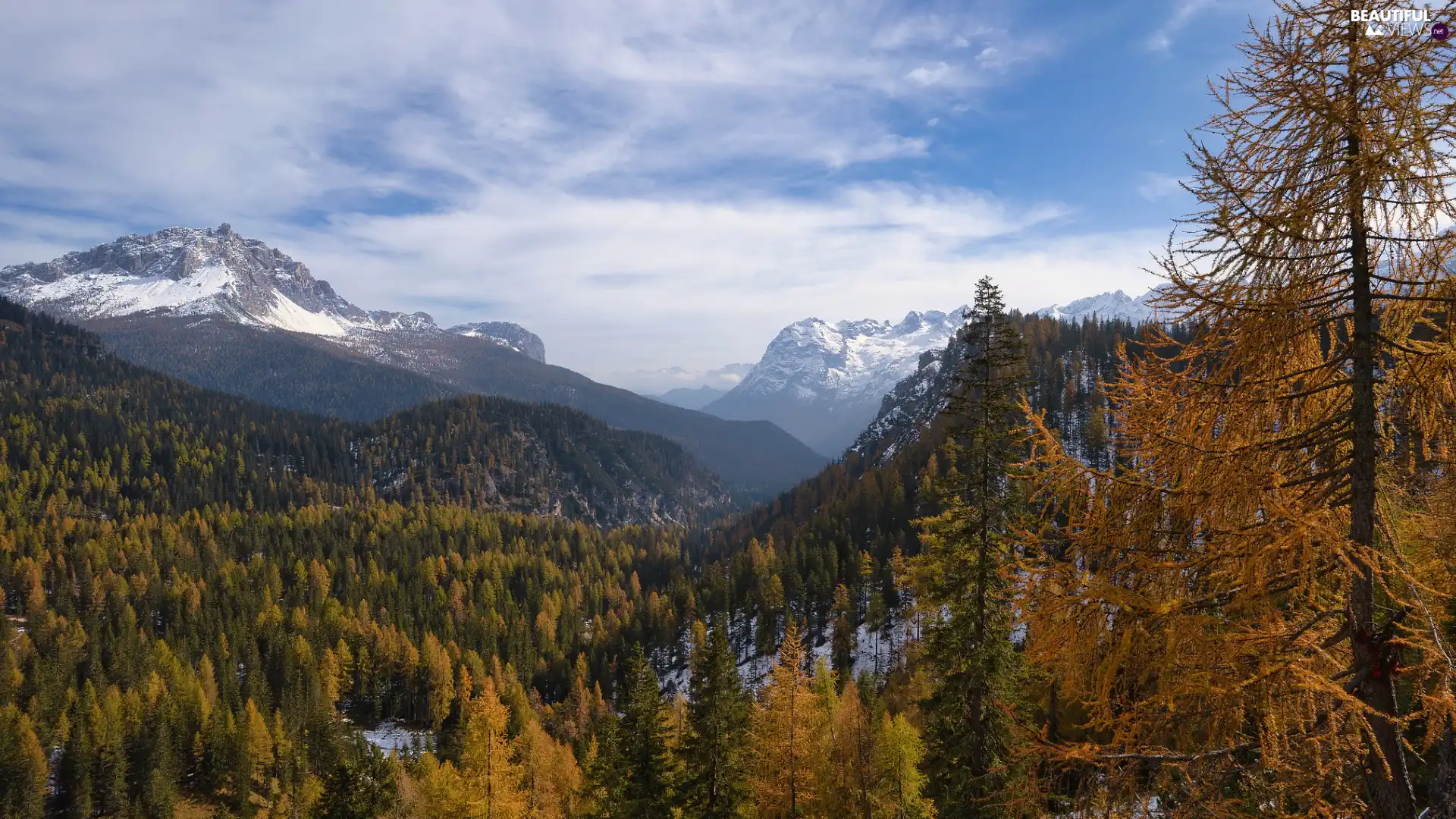 Dolomites, Snowy, woods, Valley, viewes, Italy, South Tyrol, Mountains, peaks, autumn, trees