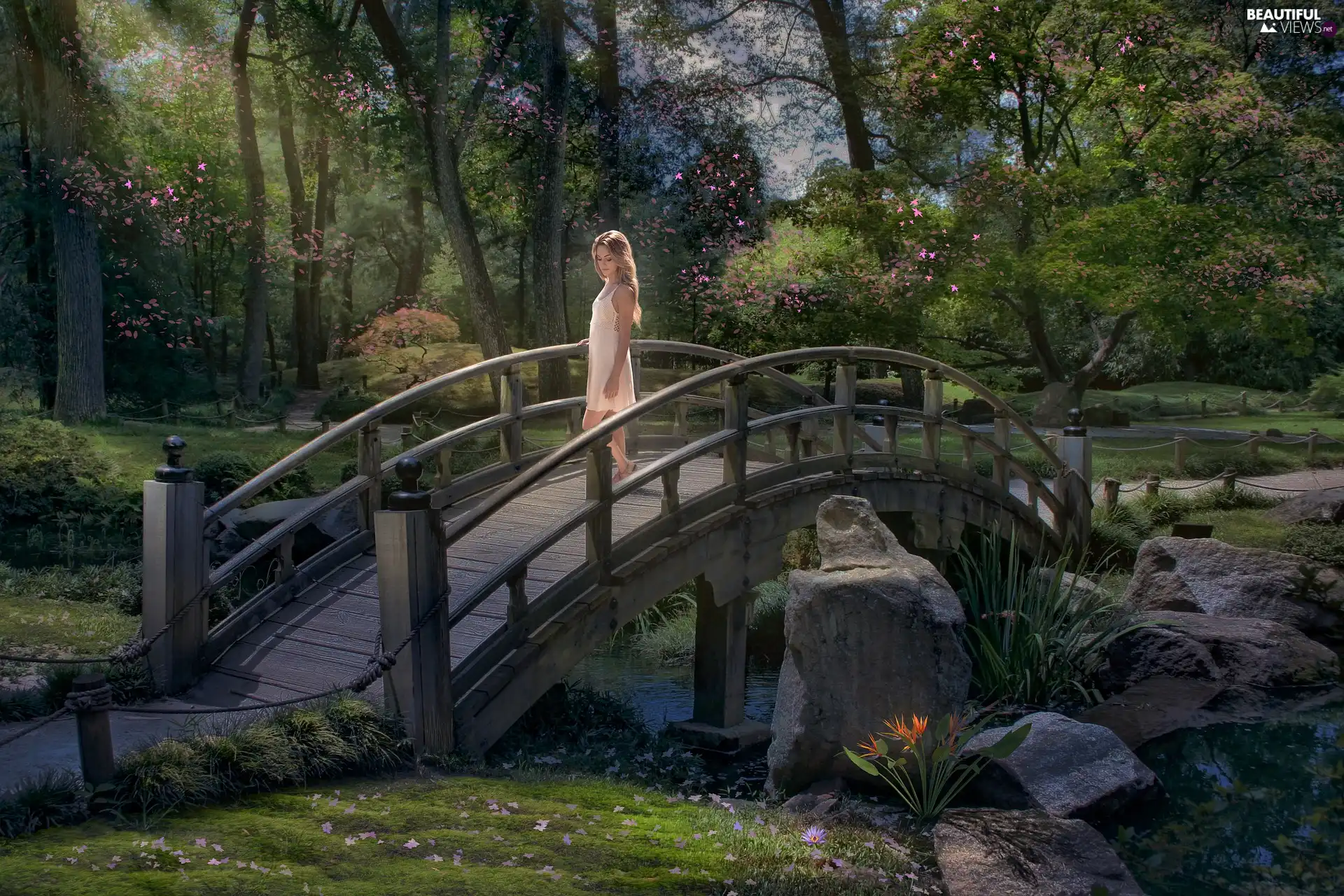 bridges, Spring, Women, photomontage, flux, Park
