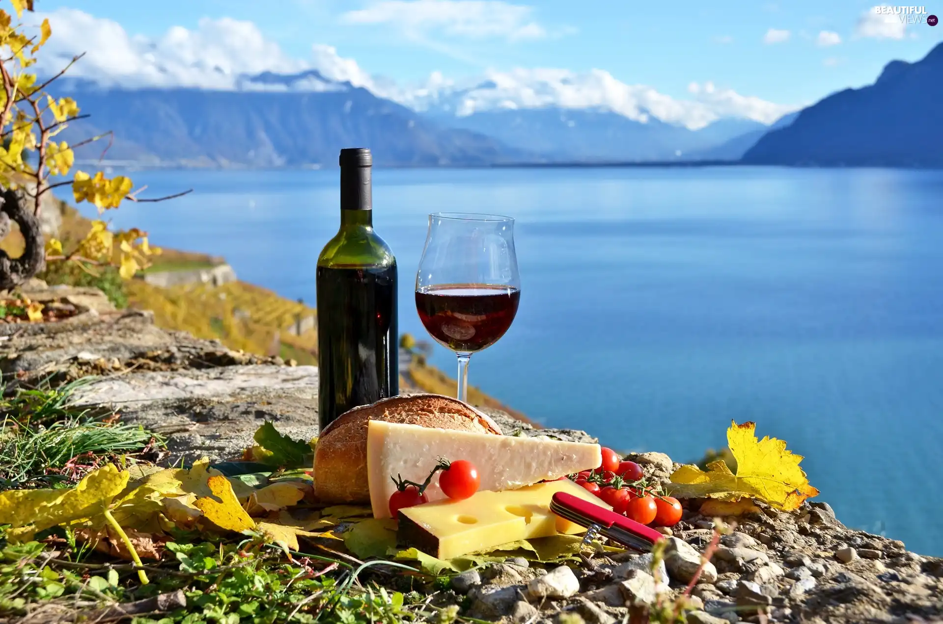 lake, Wine, picnic, Mountains