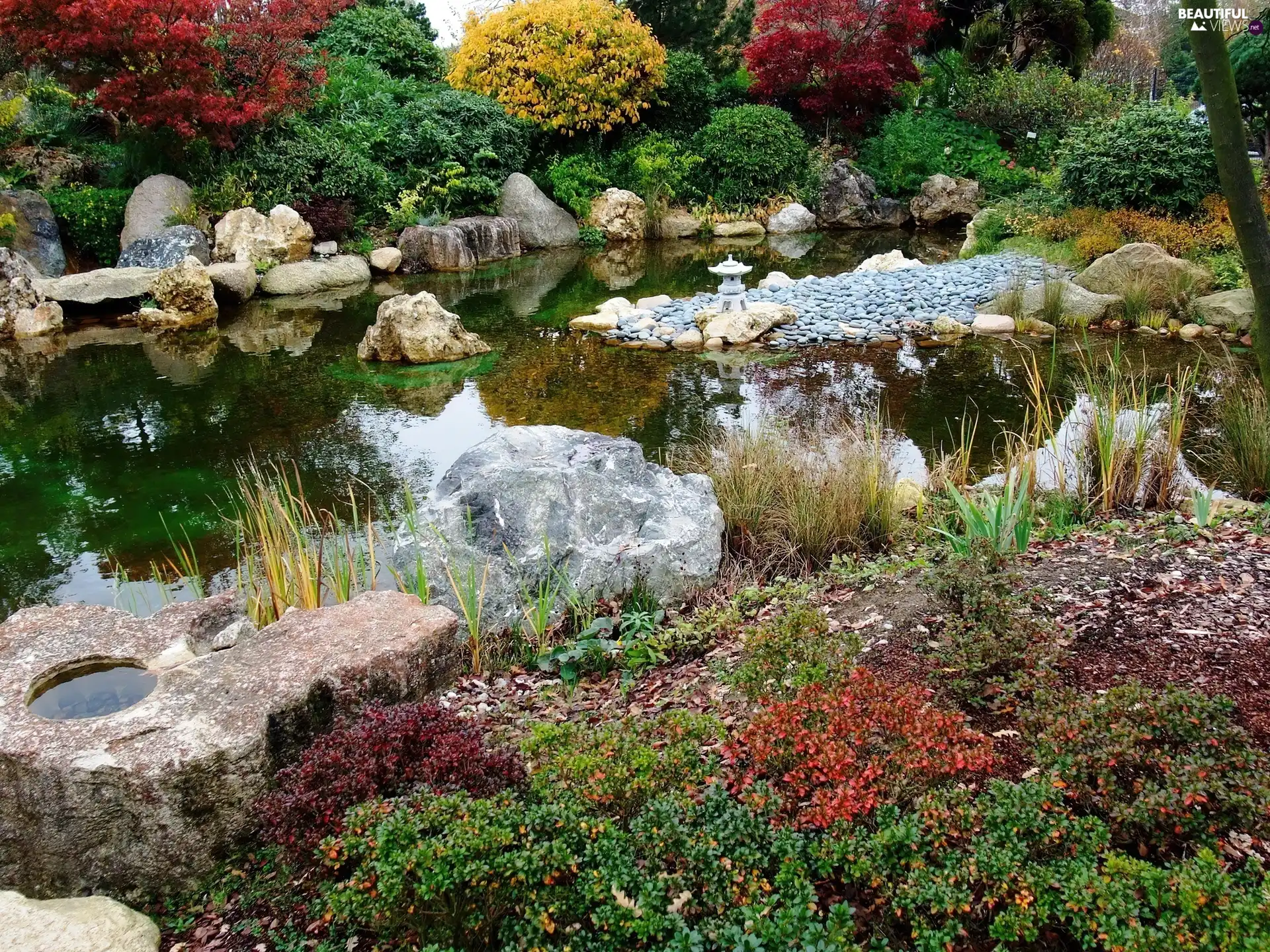 Pond - car, Stones, color, Bush, Garden