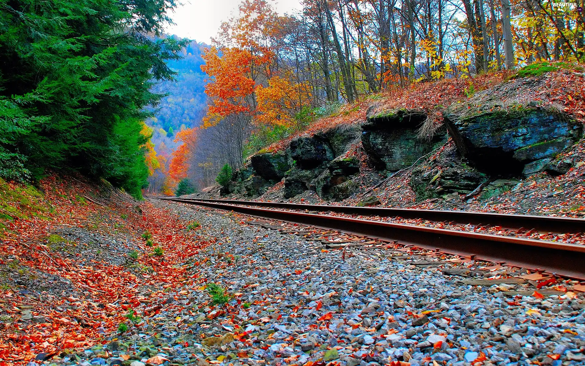 ##, railway, Colours, autumn, color