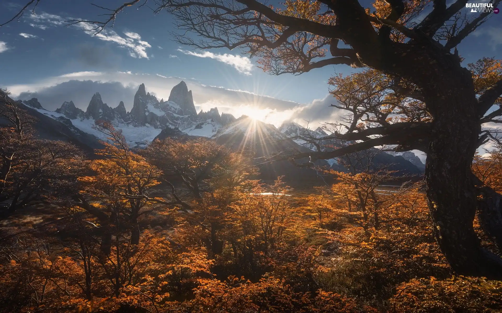 mount, Argentina, trees, Fitz Roy, Bush, clouds, rays of the Sun, Mountains, Patagonia, autumn, viewes