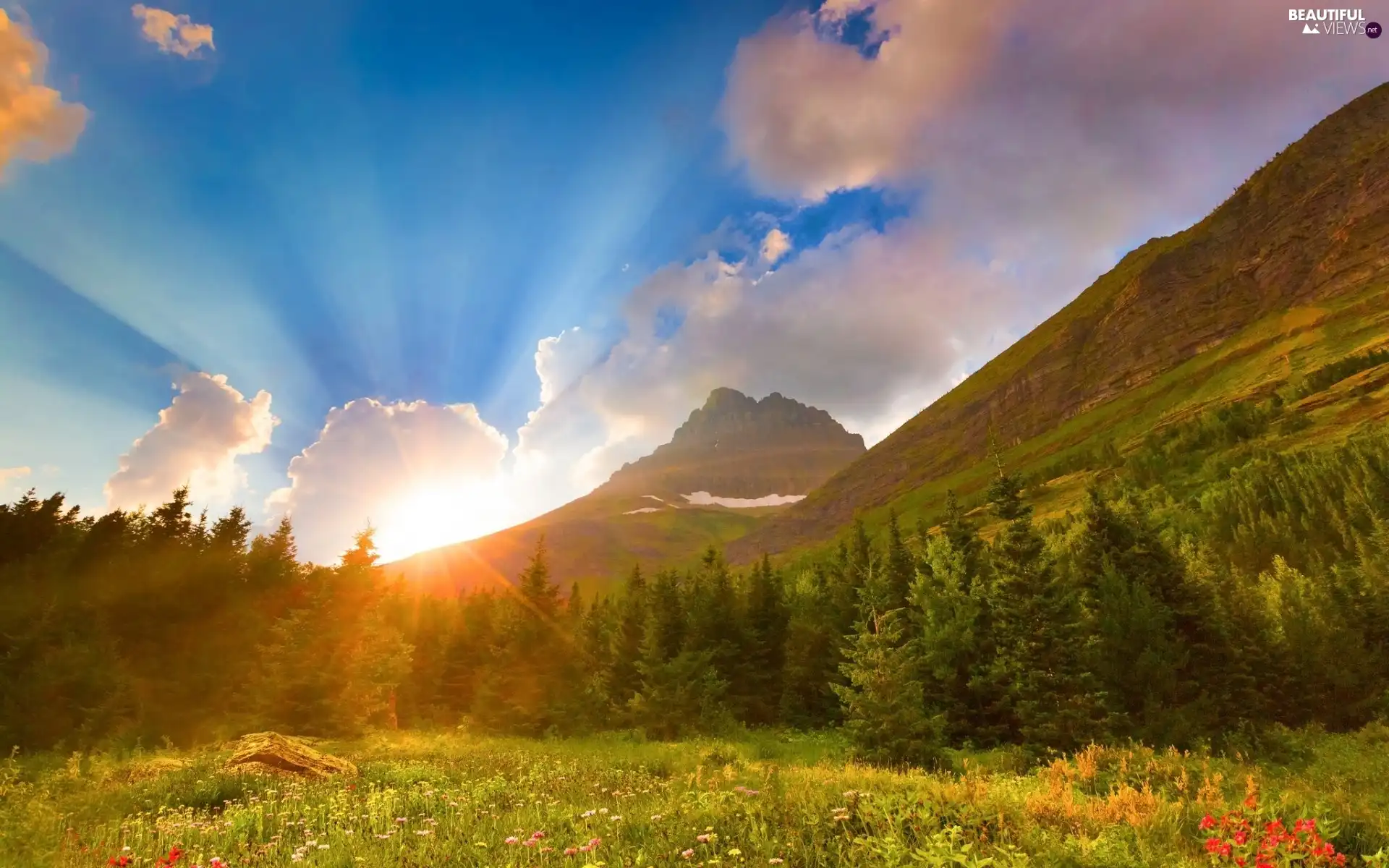 Meadow, Mountains, rays, sun, clouds, woods