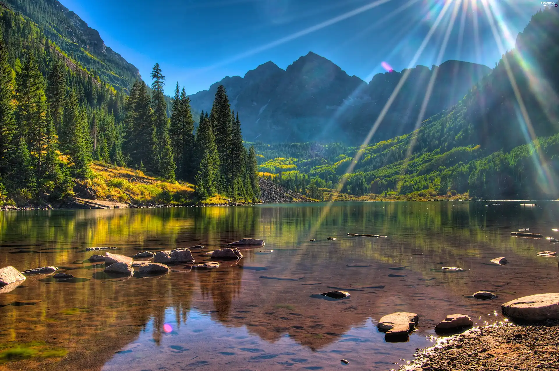 forest, summer, rays, sun, lake, Mountains