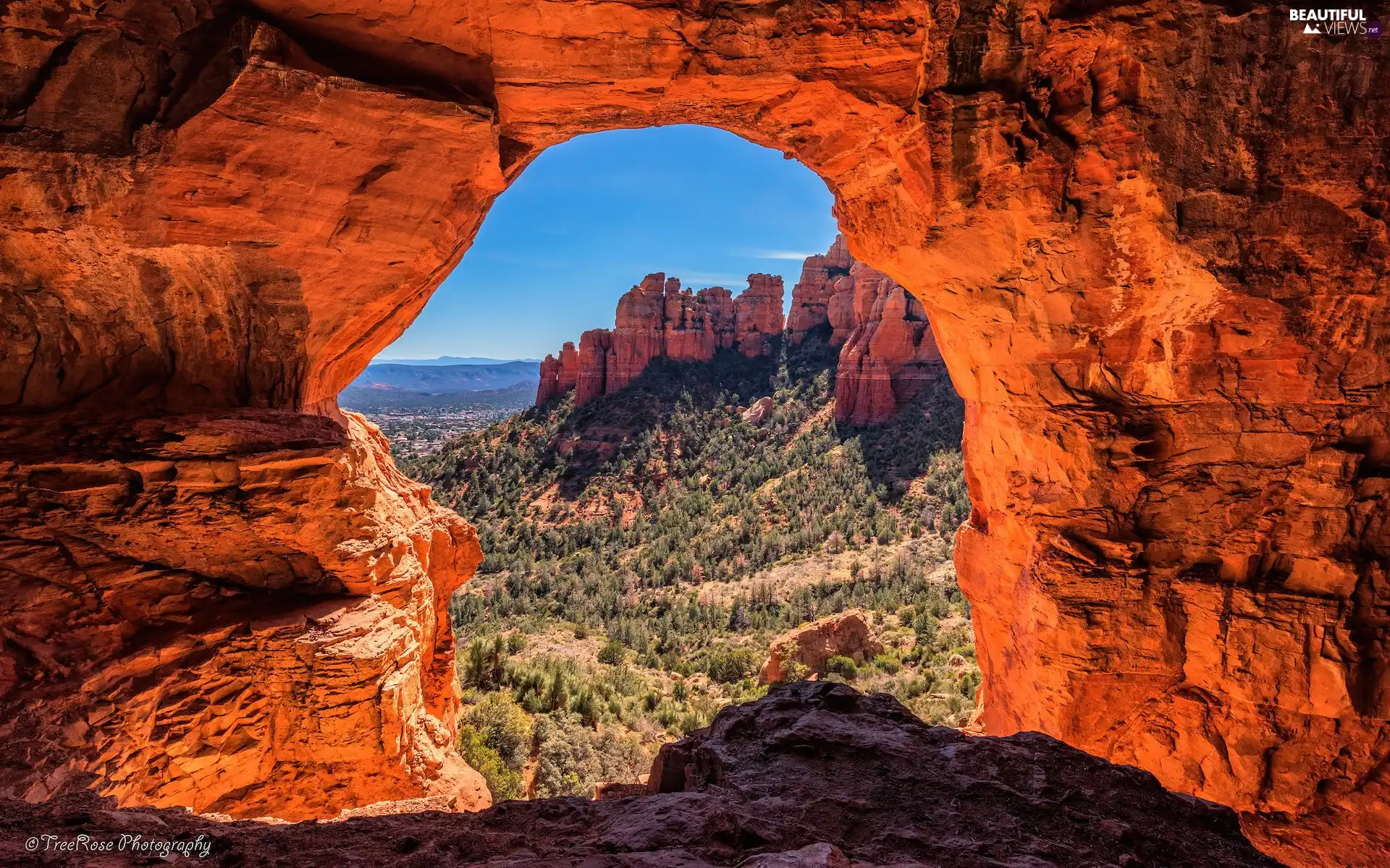 Red, Arizona, Bush, Sedona, The United States, rocks, Rock Formation