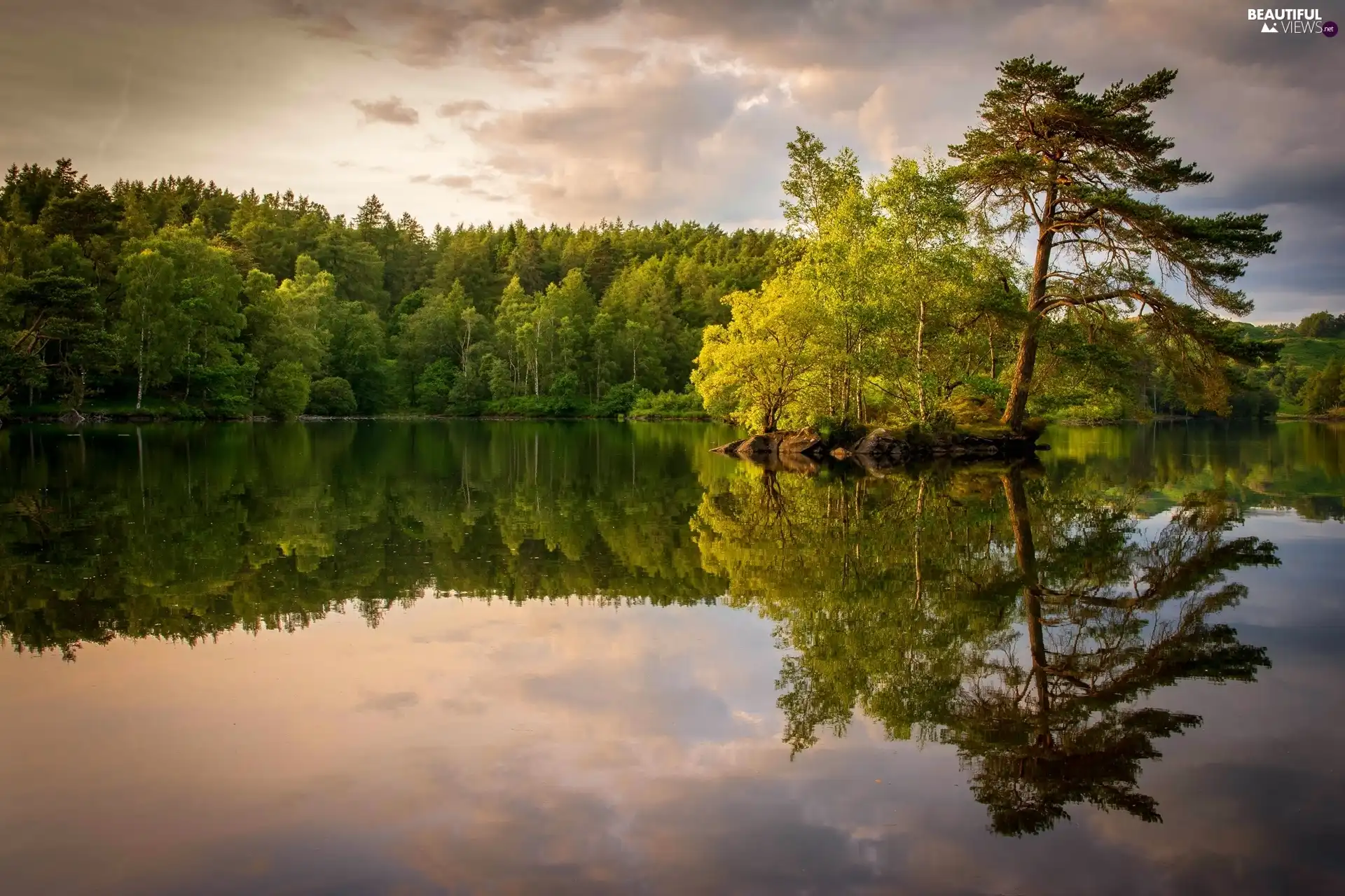 reflection, lake, forest