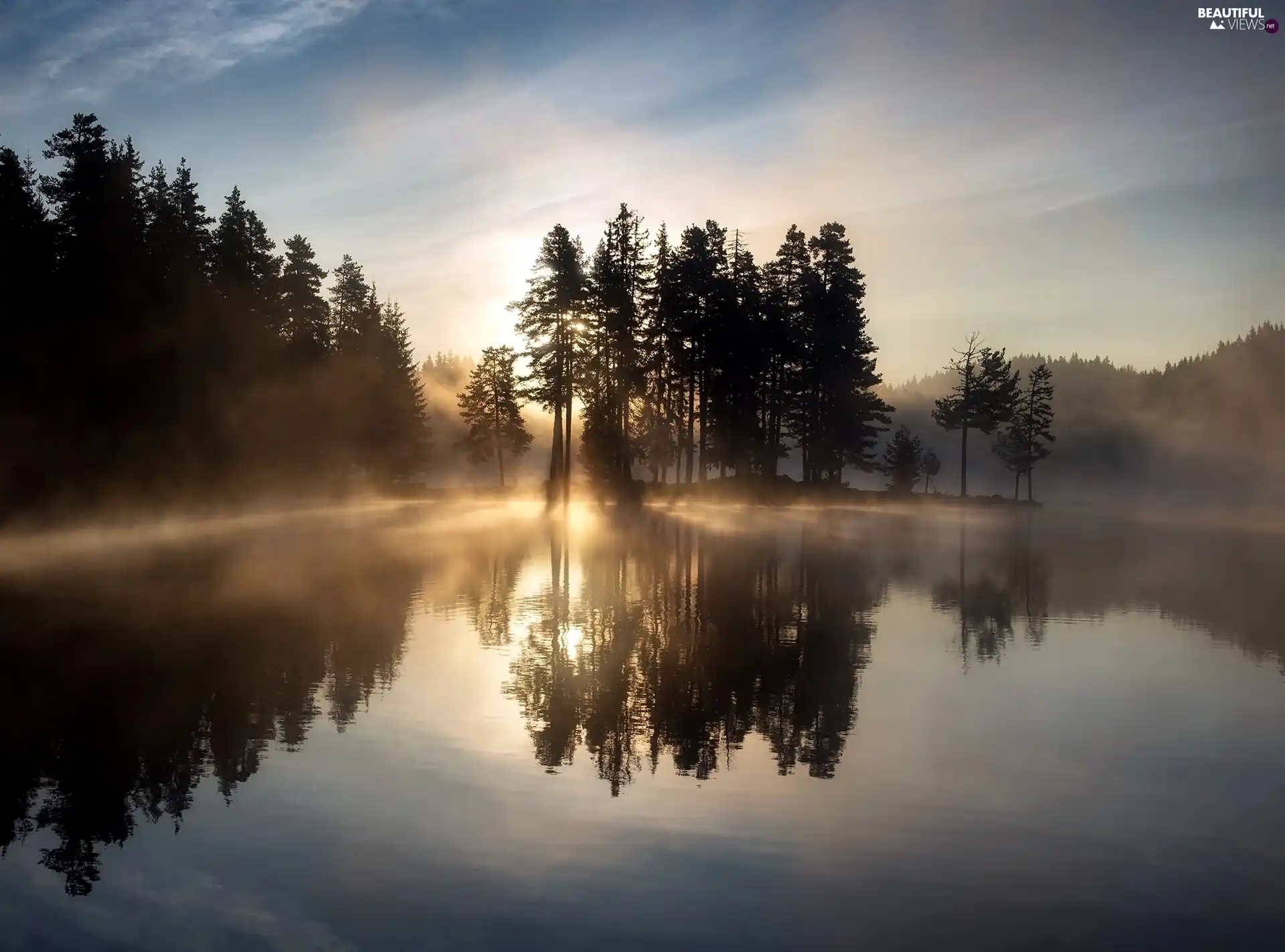 viewes, lake, reflection, Sunrise, Fog, trees