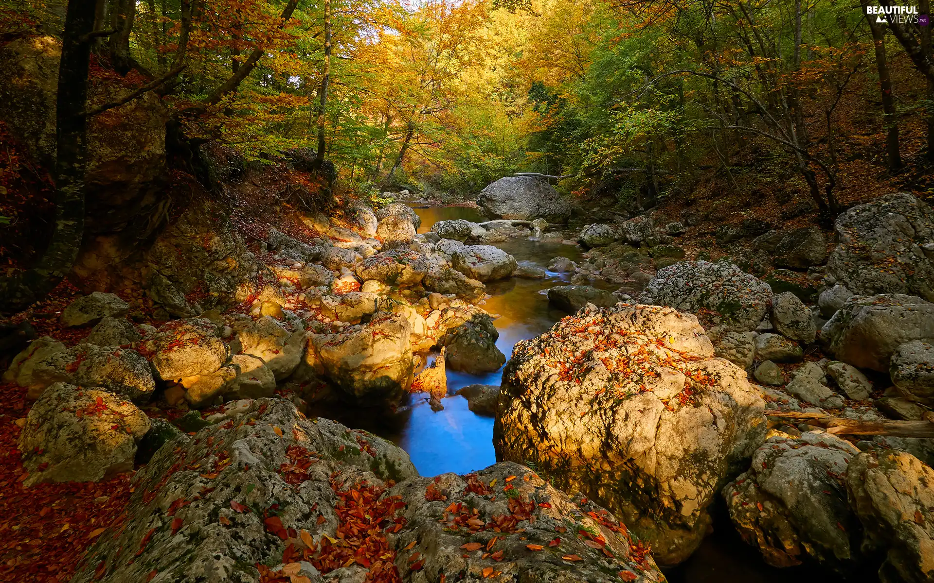 Stones, forest, autumn, River