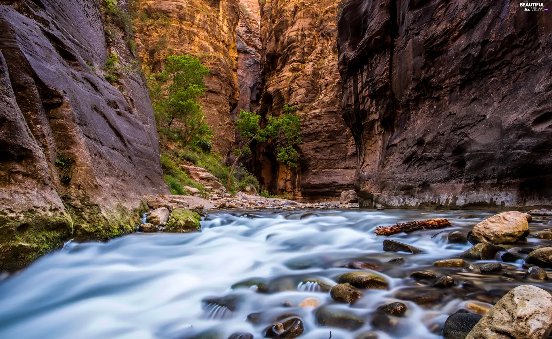 Zion National Park, The United States, rocks, Virgin River, Zion Narrows Canyon, Utah State