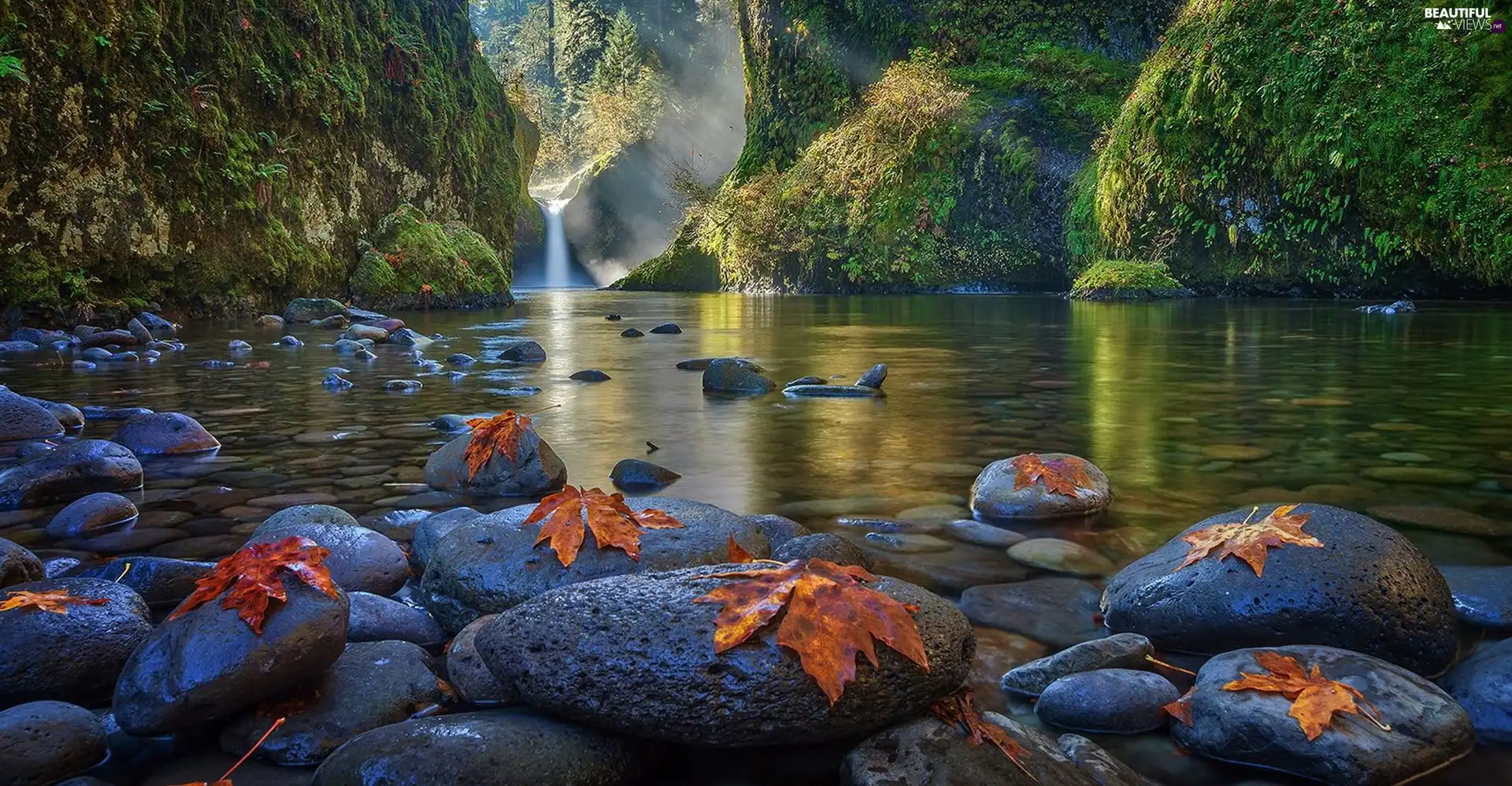 Leaf, waterfall, forest, Stones, River, rocks, autumn