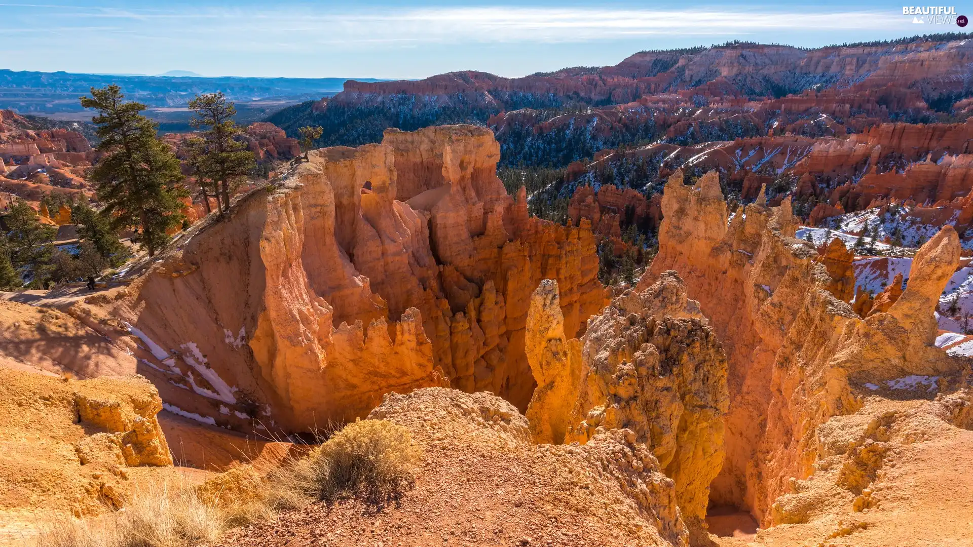 canyon, trees, The United States, viewes, Utah State, rocks, Mountains, Bryce Canyon National Park